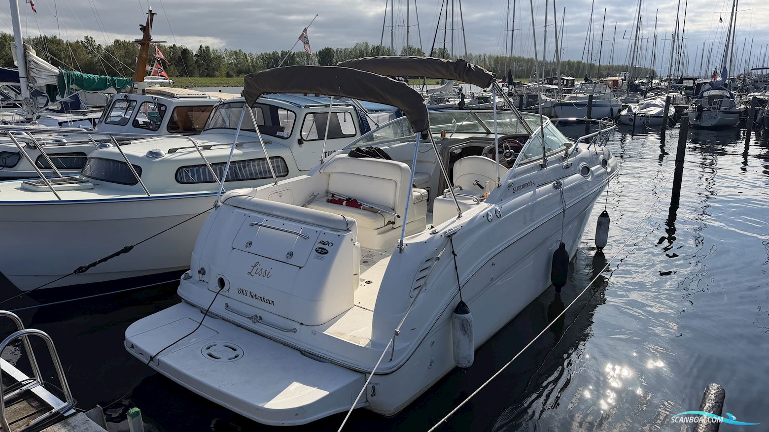 Searay Sundancer 260