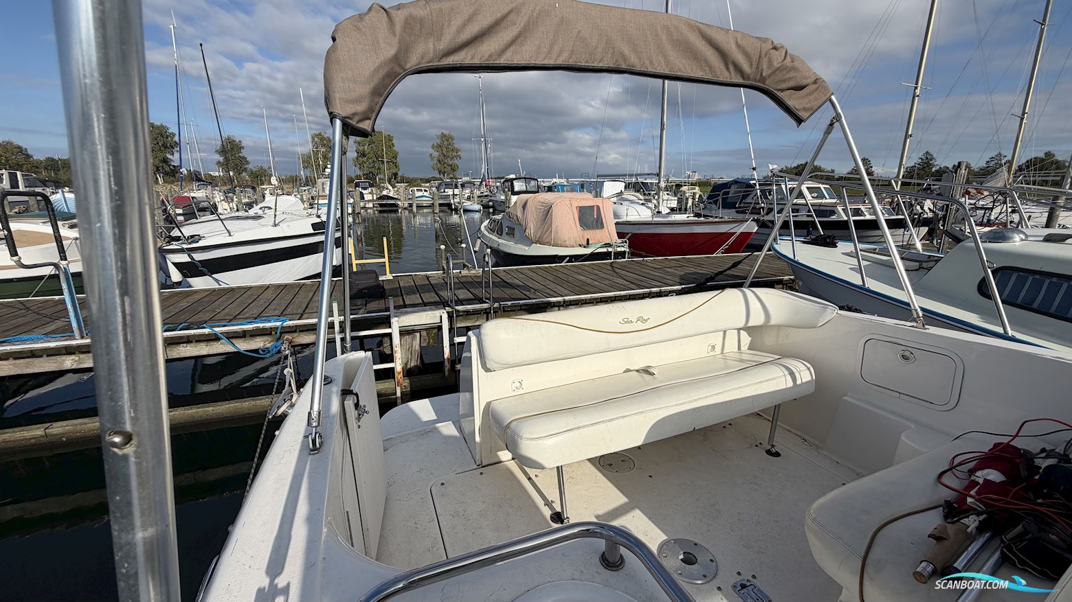 Searay Sundancer 260
