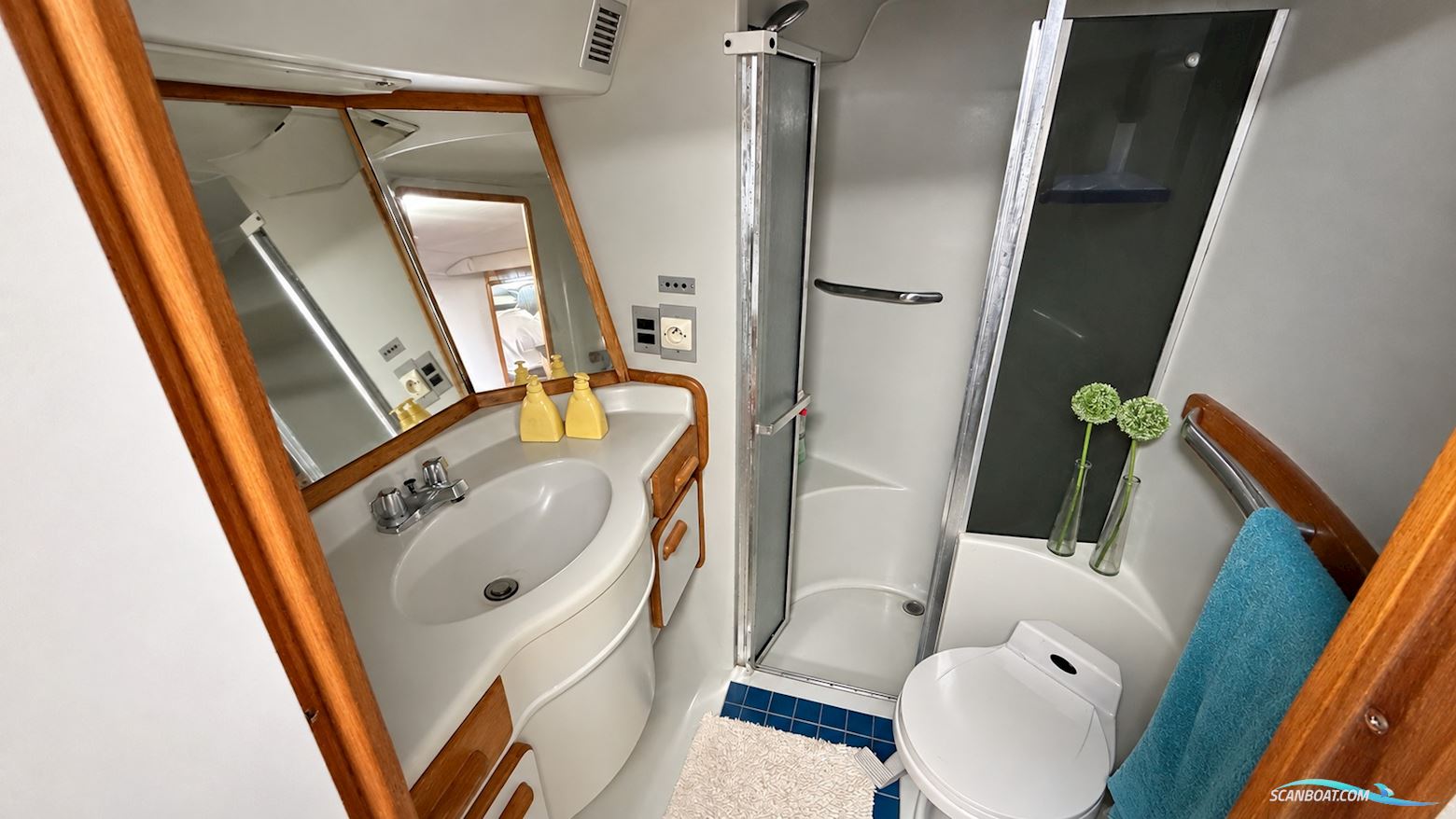 Searay sundancer 480