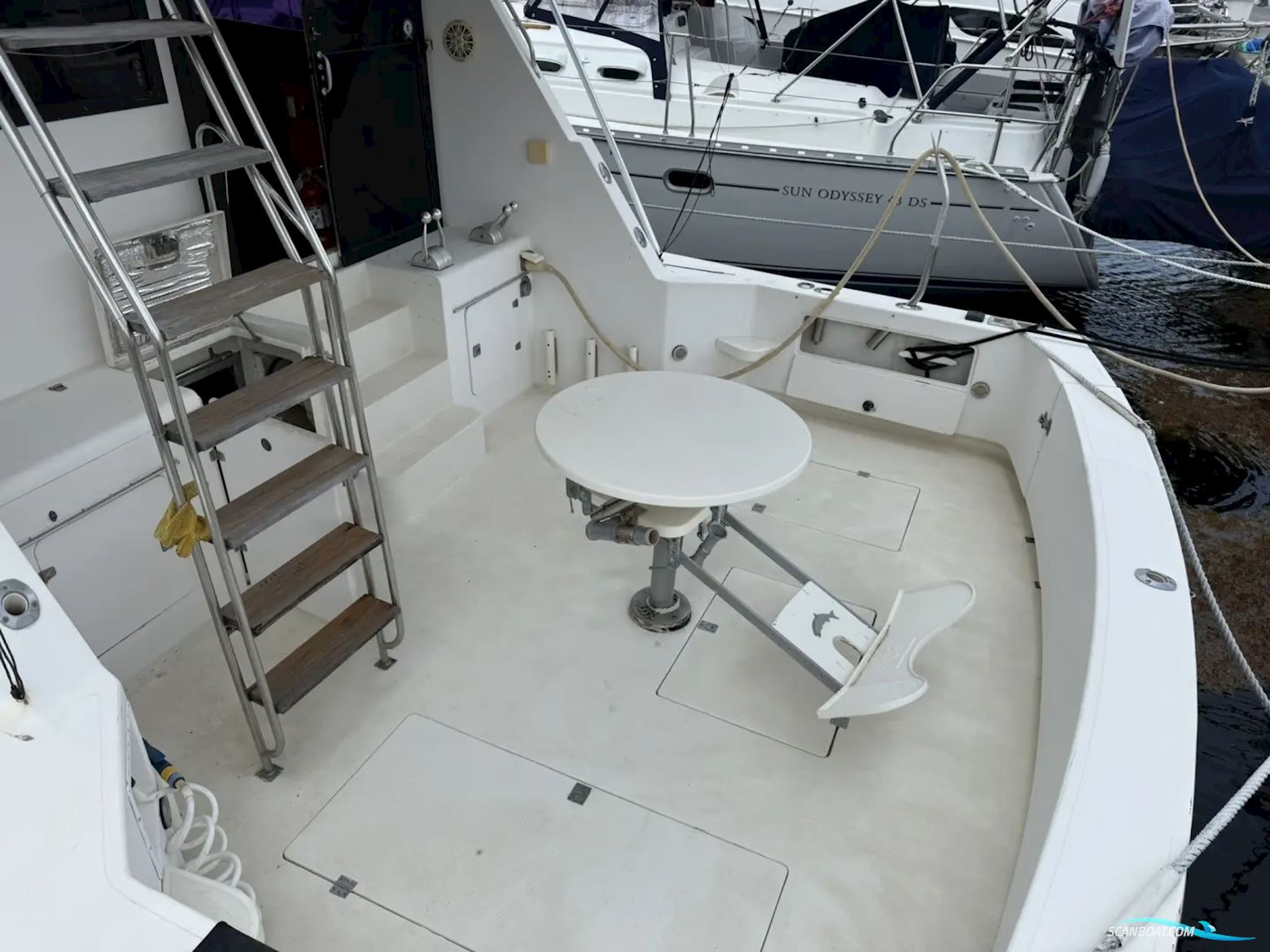 Southern Cross 44 Fish