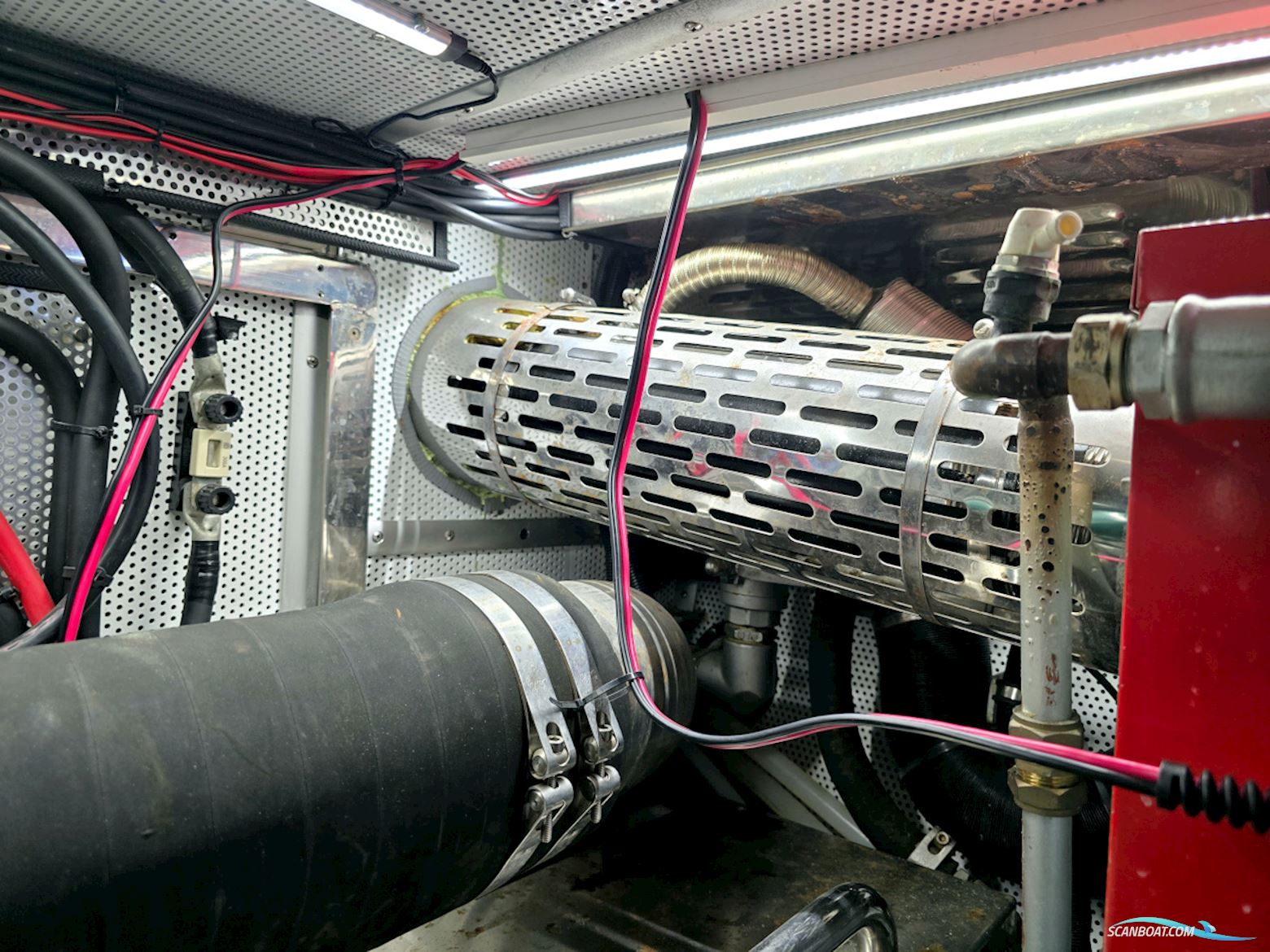 Spinosa 43