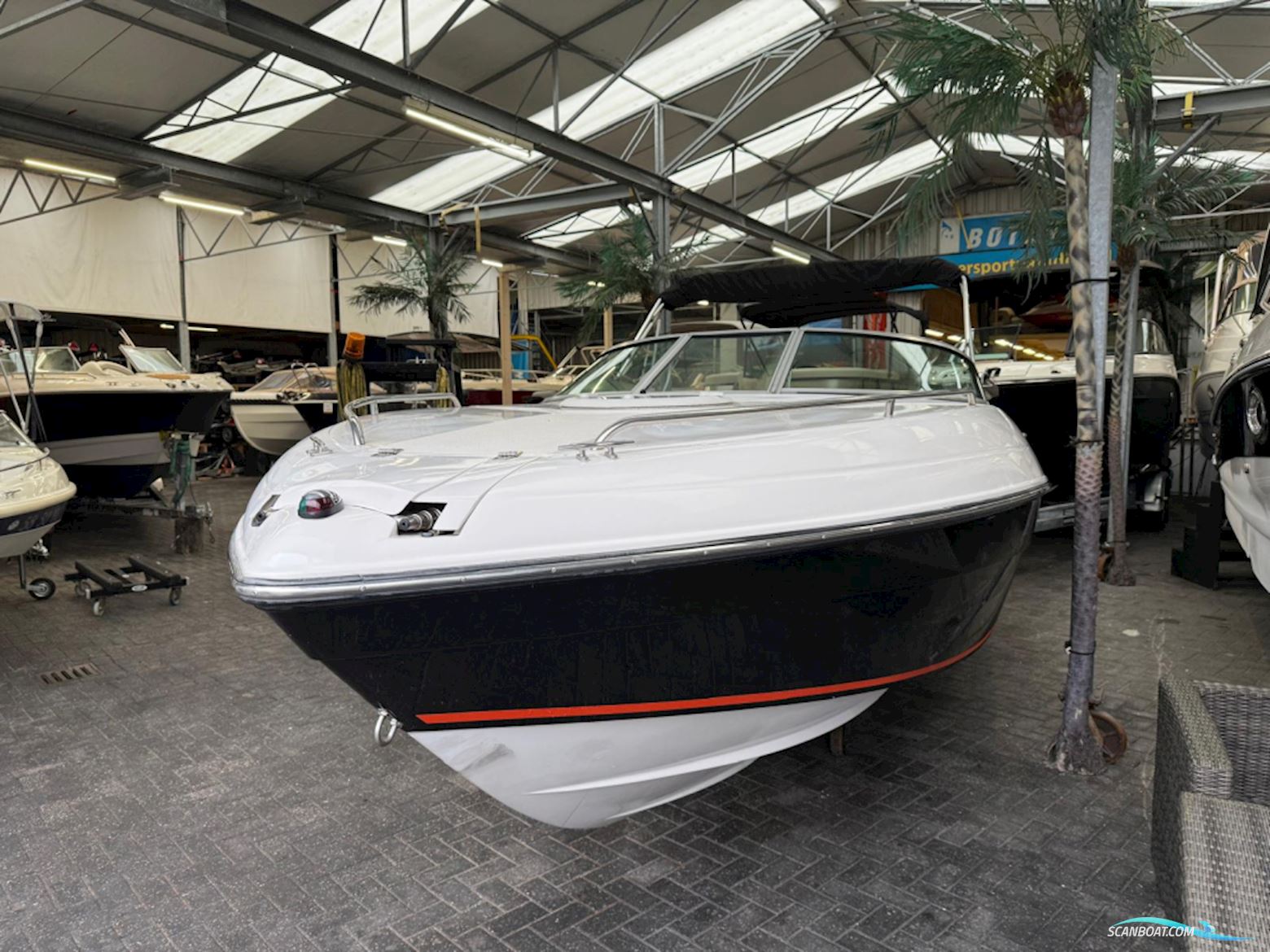 Starcraft 2150 Cuddy