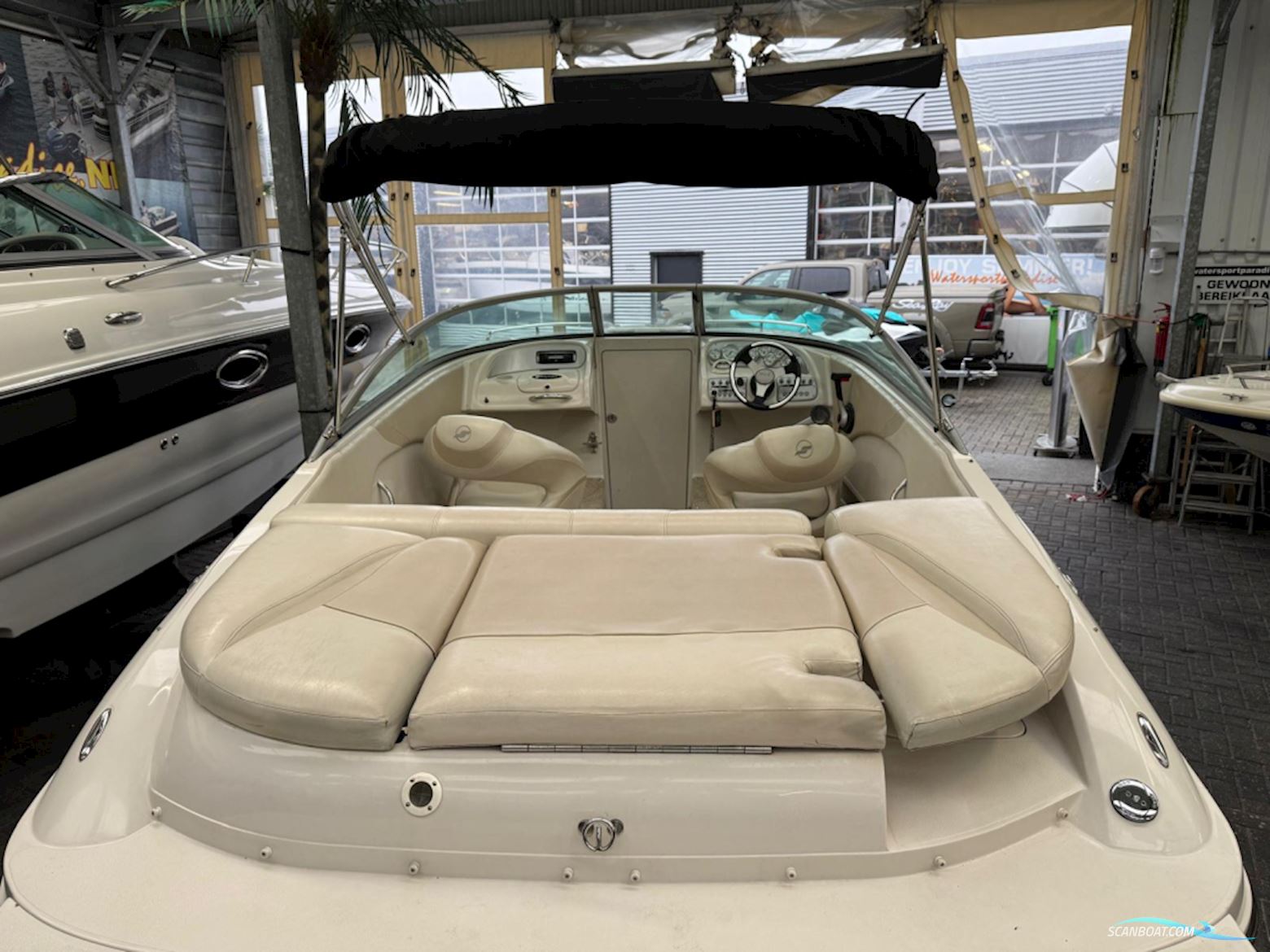 Starcraft 2150 Cuddy