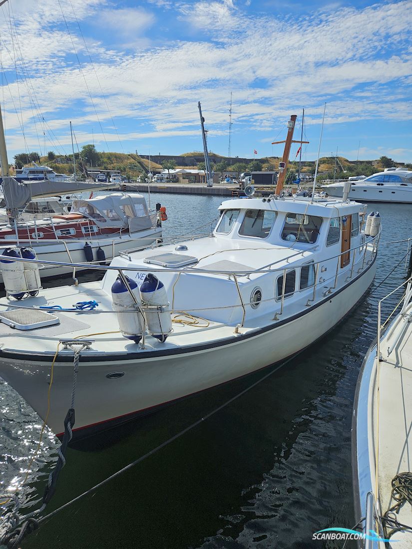 Starlett 34 