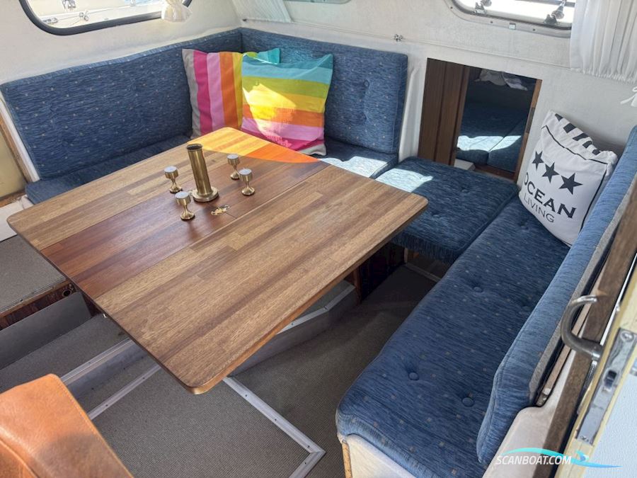 Starlett 34