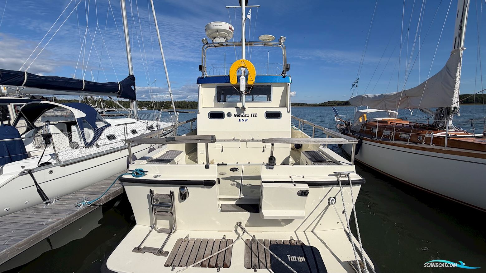 Targa 33