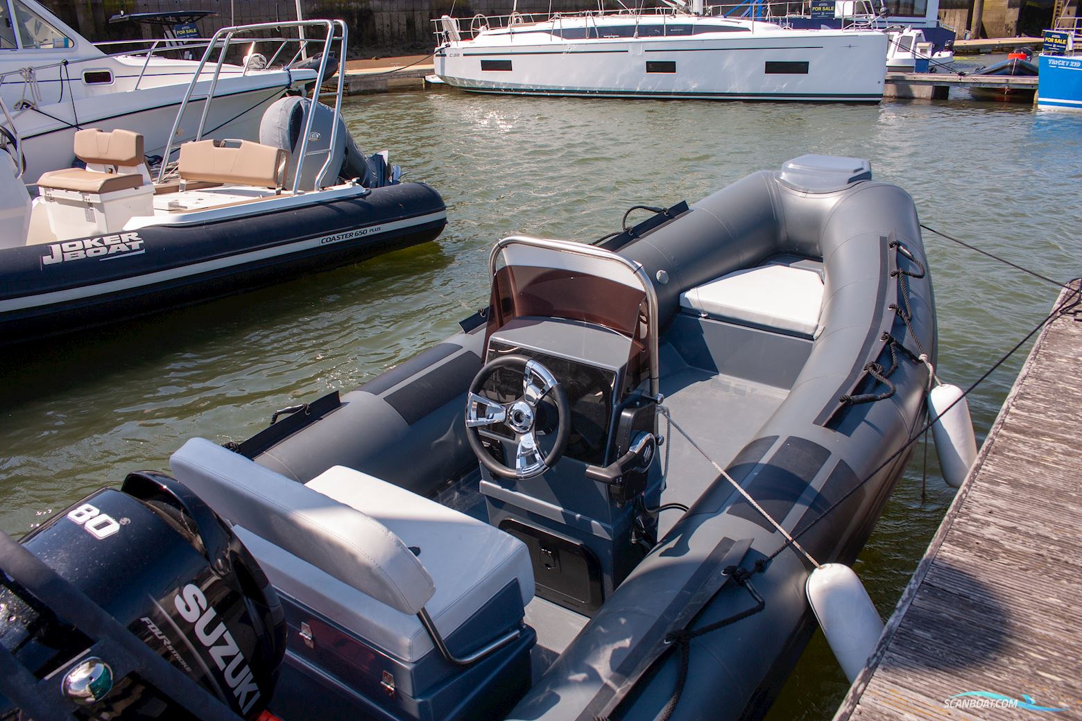 Tiger Marine Dive Master 520