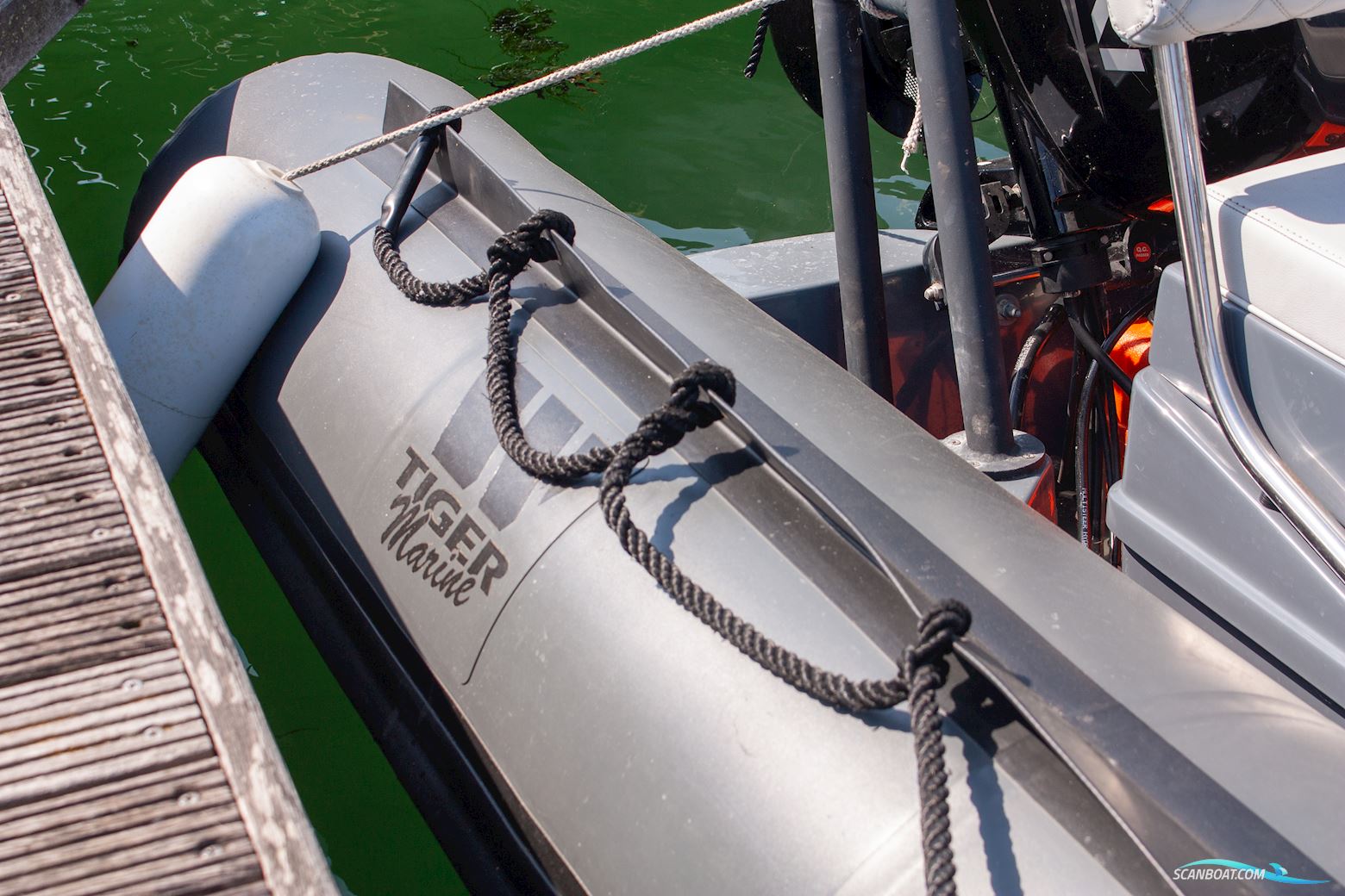 Tiger Marine Dive Master 520