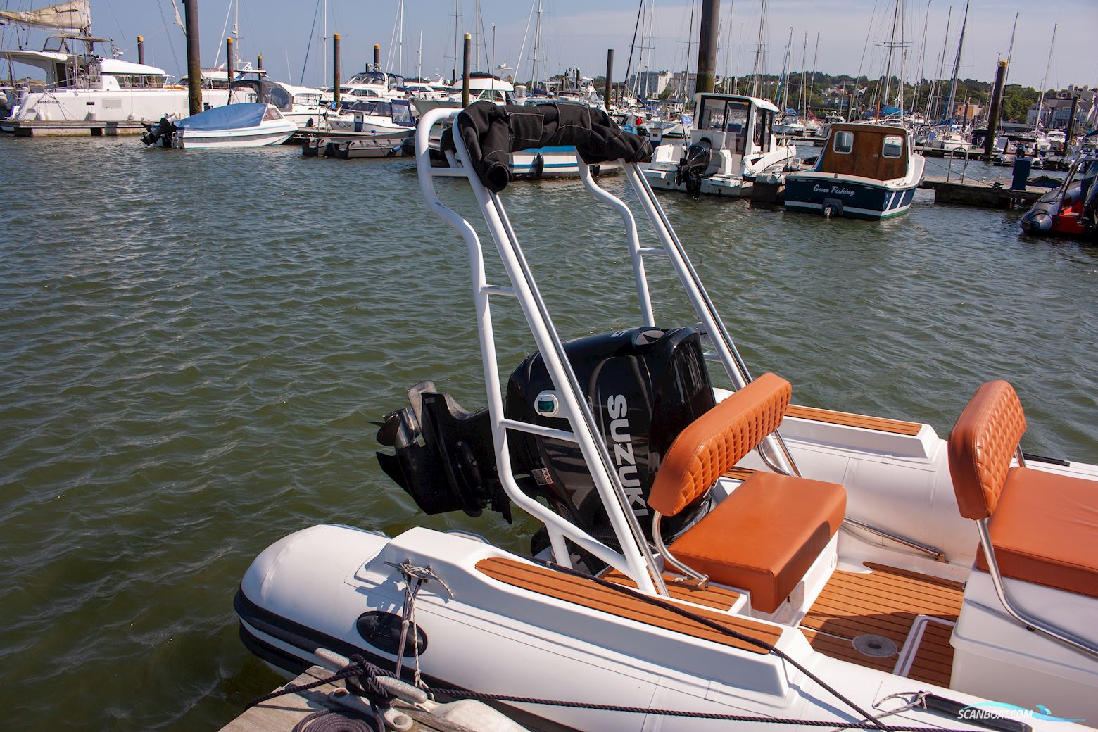 Tiger marine Open 600