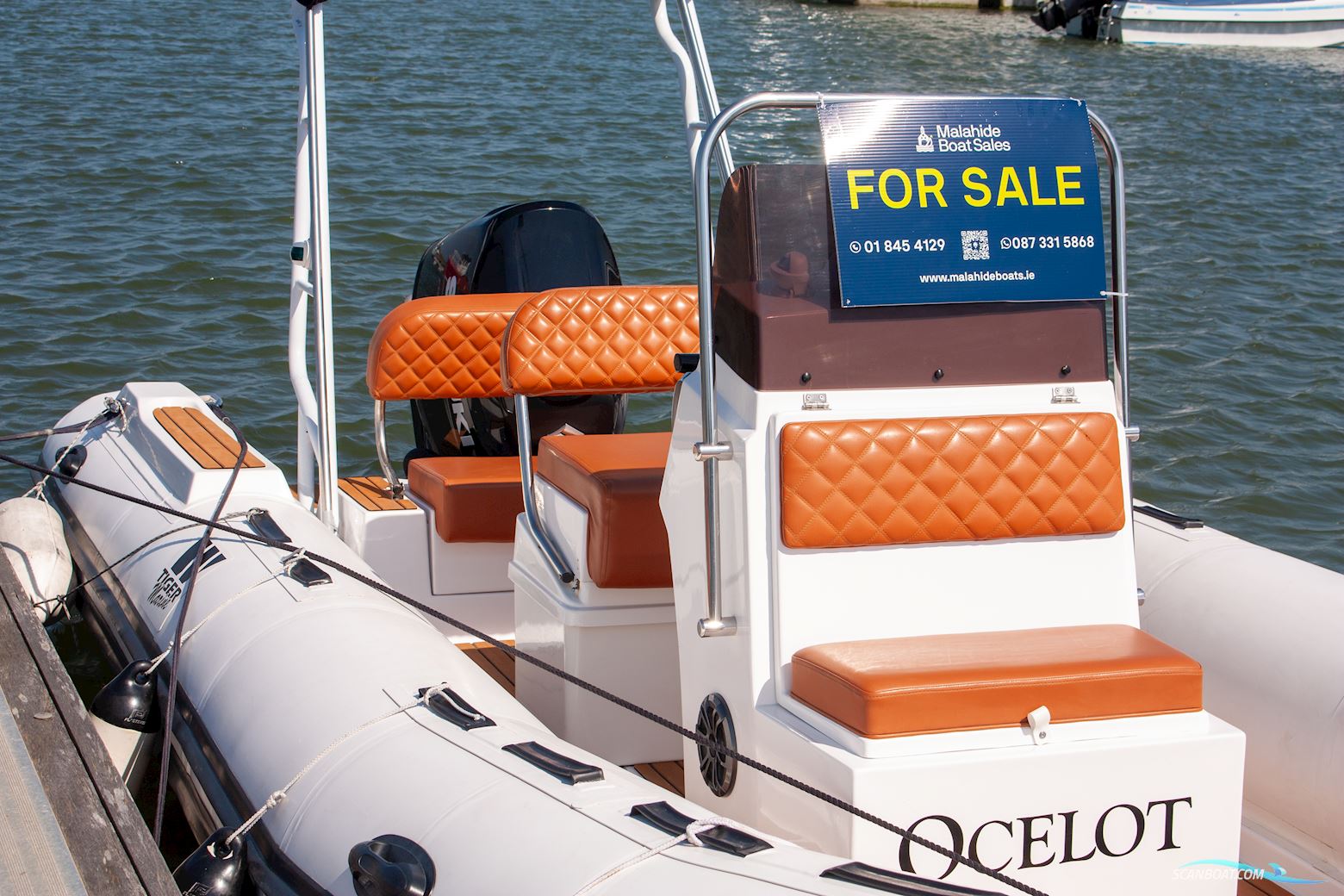Tiger marine Open 600
