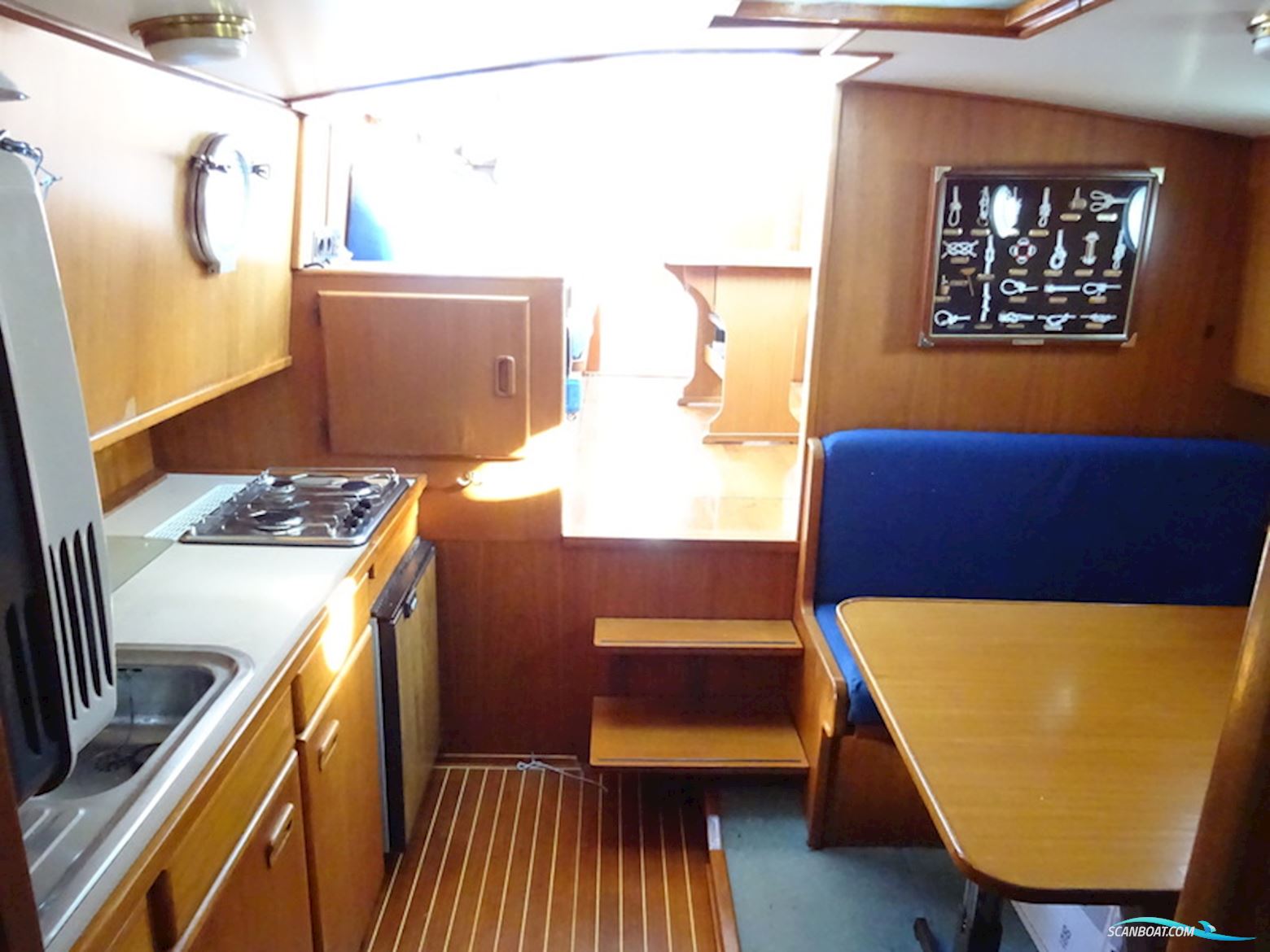 Twillert Kotter 11.20 OK