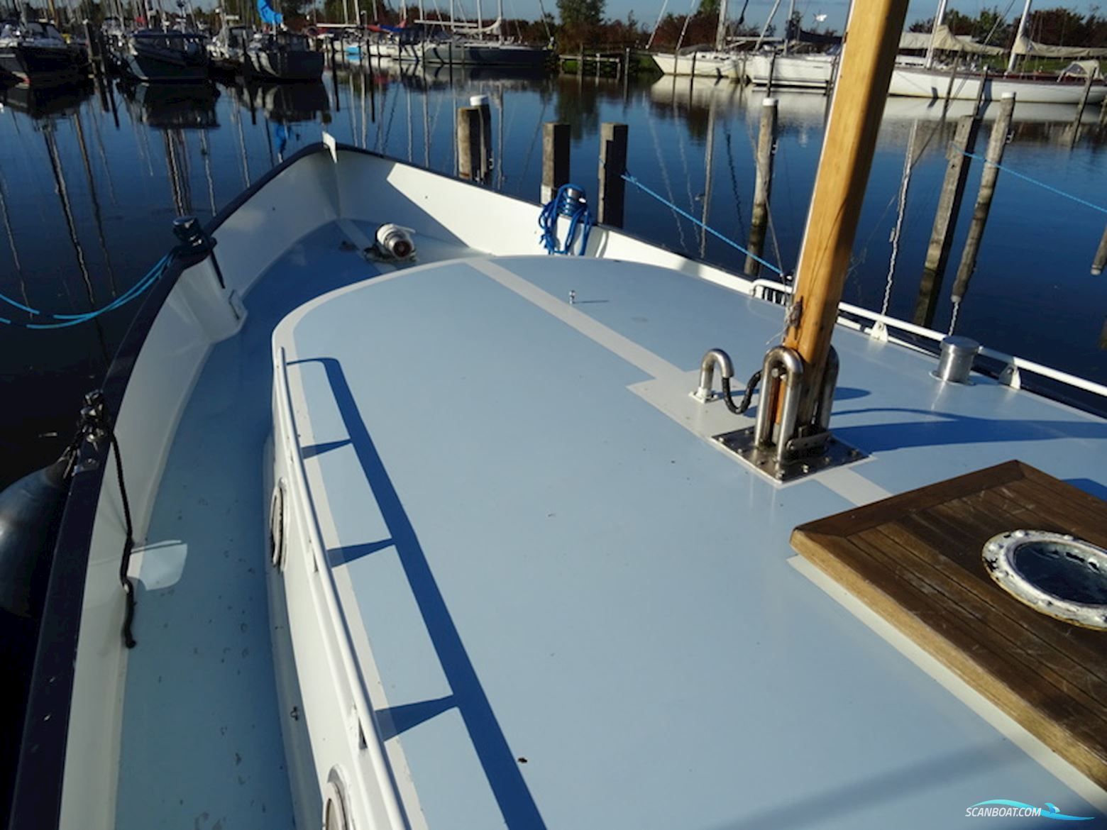 Twillert Kotter 11.20 OK