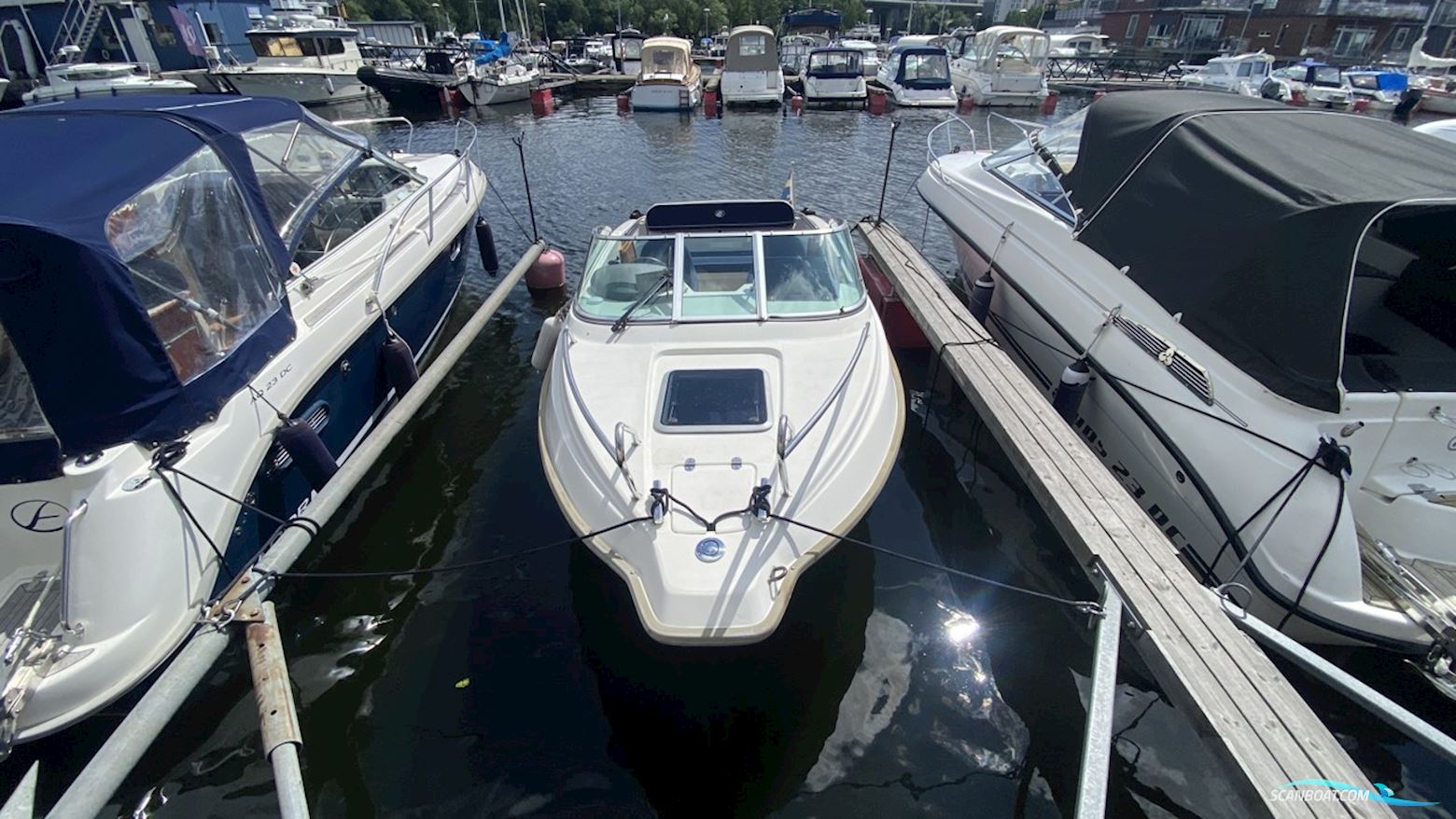 Uttern D55 EXCLUSIVE