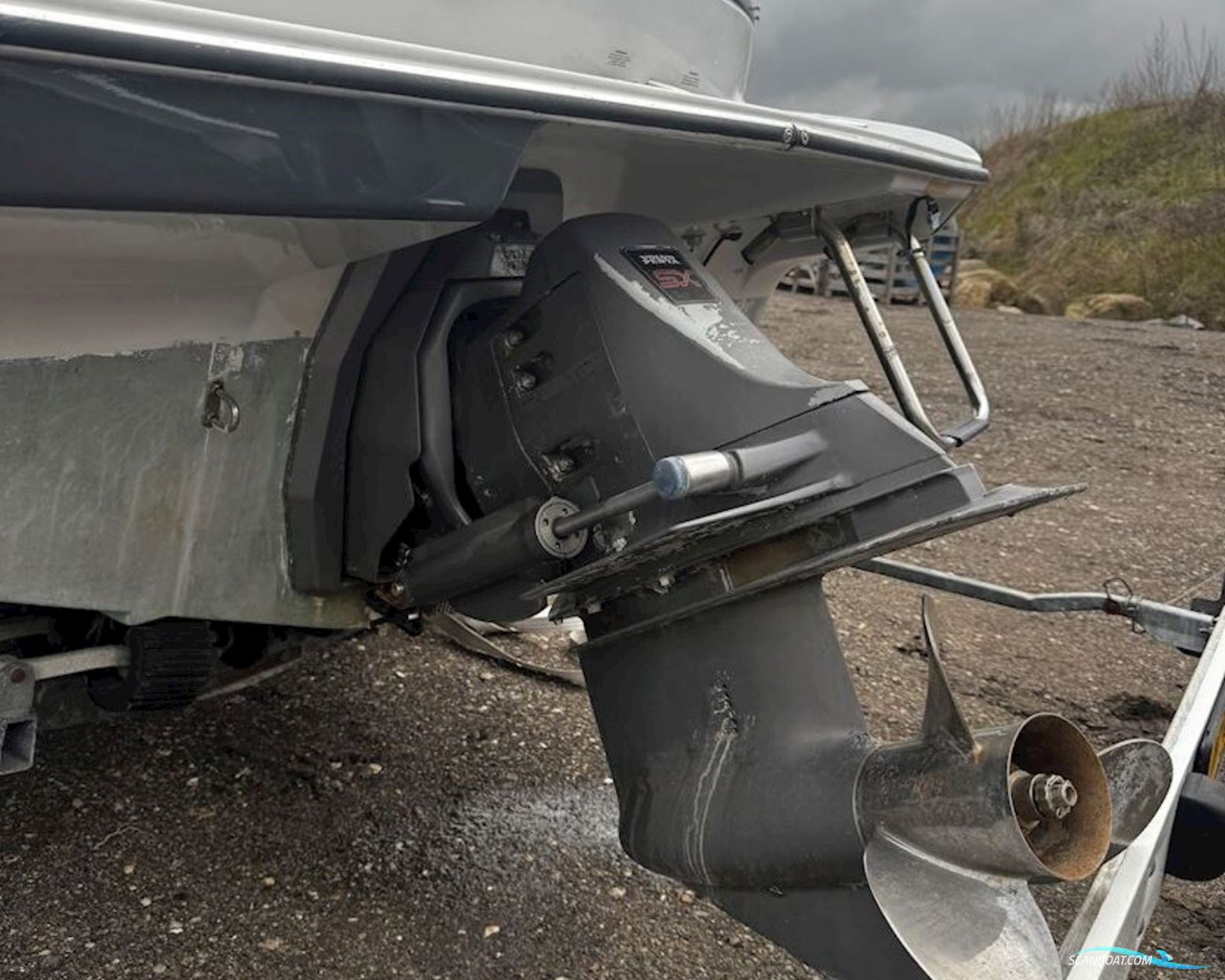 Wellcraft Excel 21 Motorbåd 1996, med Volvo Penta 4.3L V6 motor, Danmark