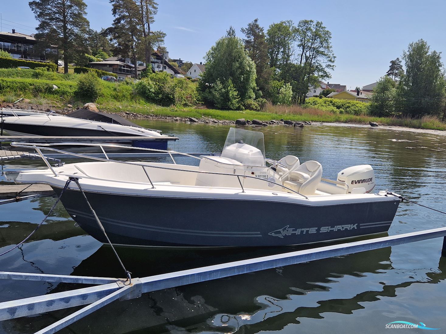White Shark 205