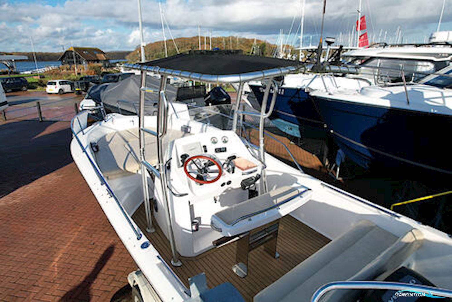 White Shark 226