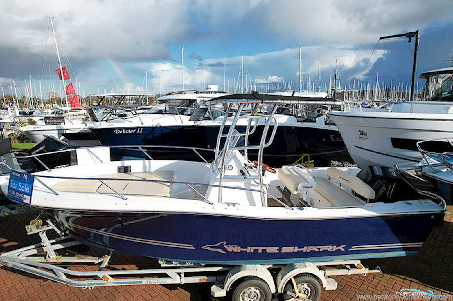 White Shark 226