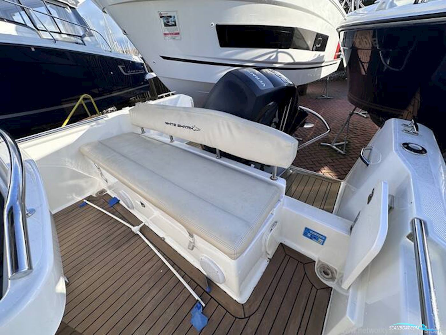 White Shark 226