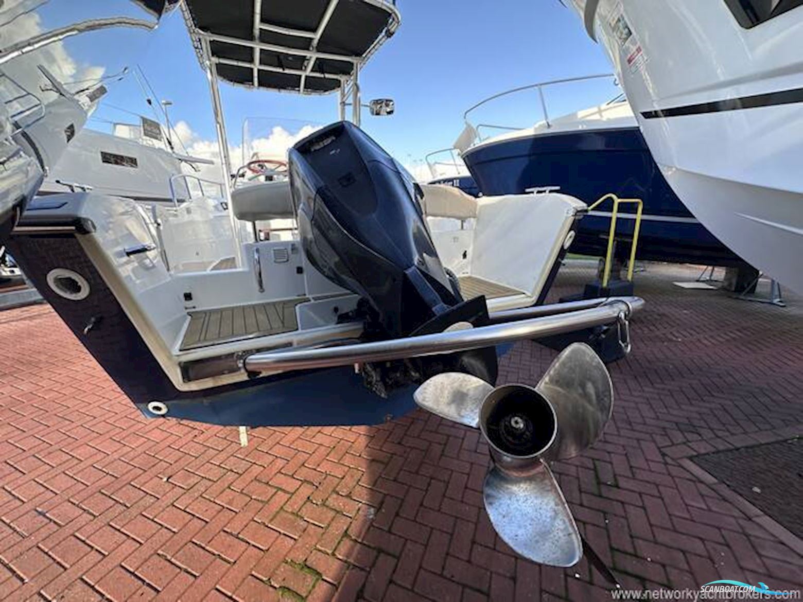 White Shark 226