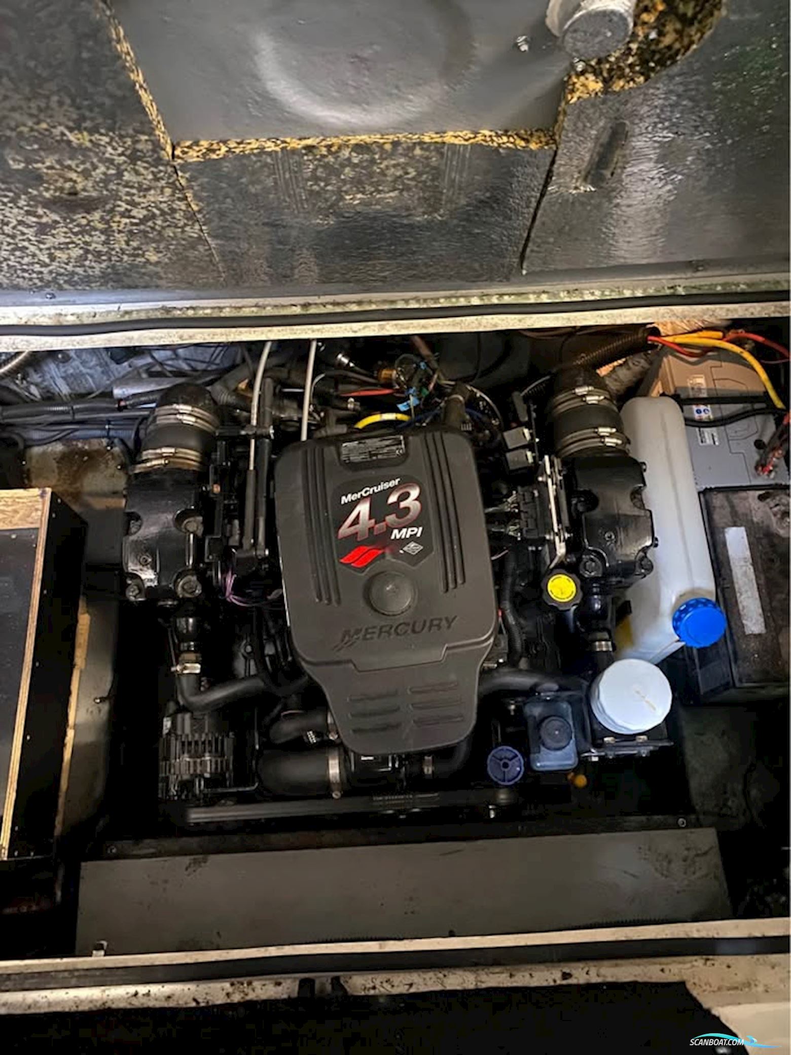 Whittley 2165 Cruiser