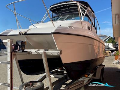 Worldcat Glacier Bay Catamaran Isle Runner 2270 m/2 Stk. Suzuki F140 hk og Float-on Alutrailer Motorbåd 2025, med Suzuki motor, Danmark