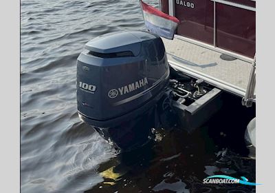 Yamaha F100Det Motorbåd 2013, Holland