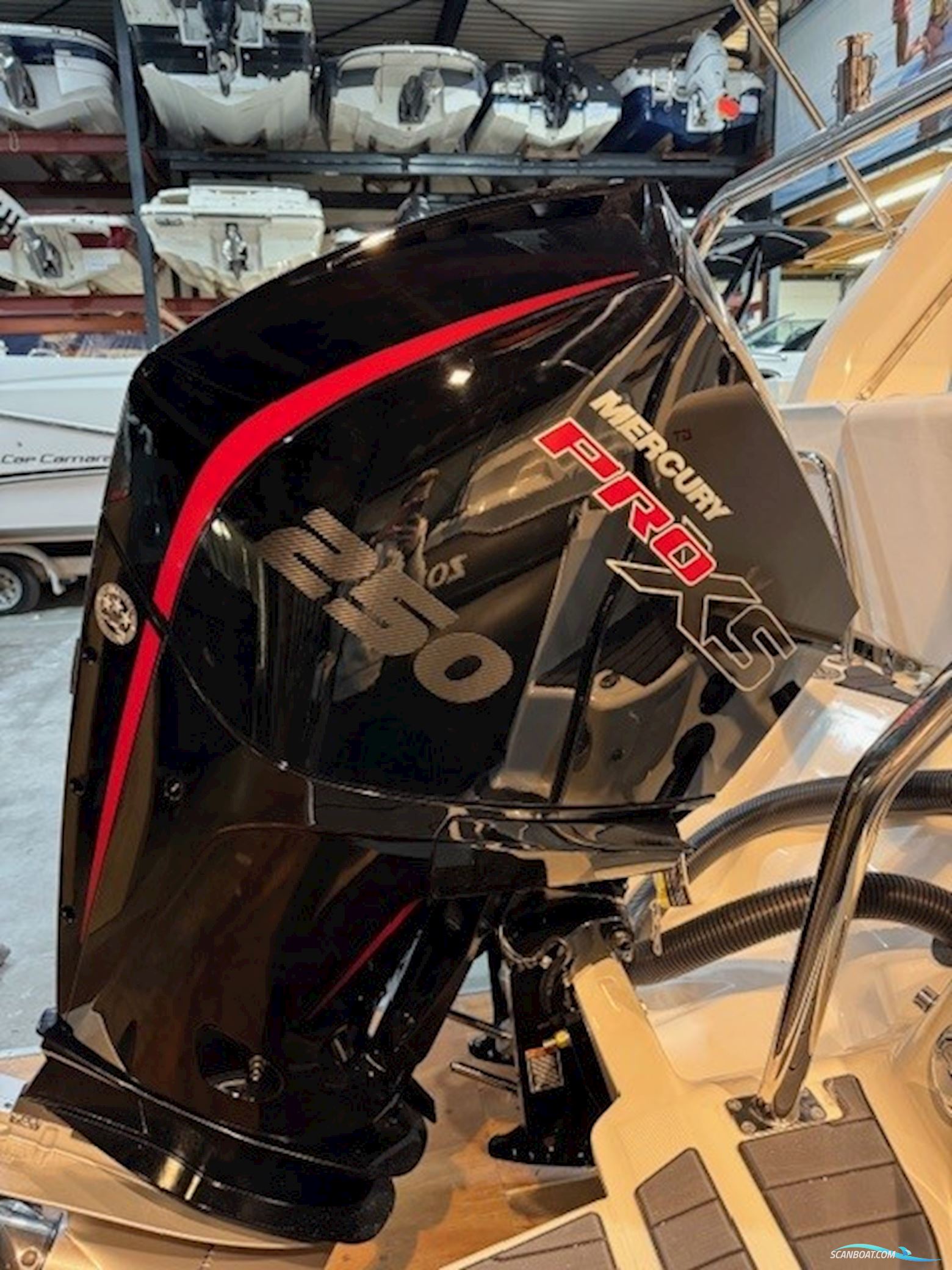 Zodiac Medline 7.5 GT Limited nr.26