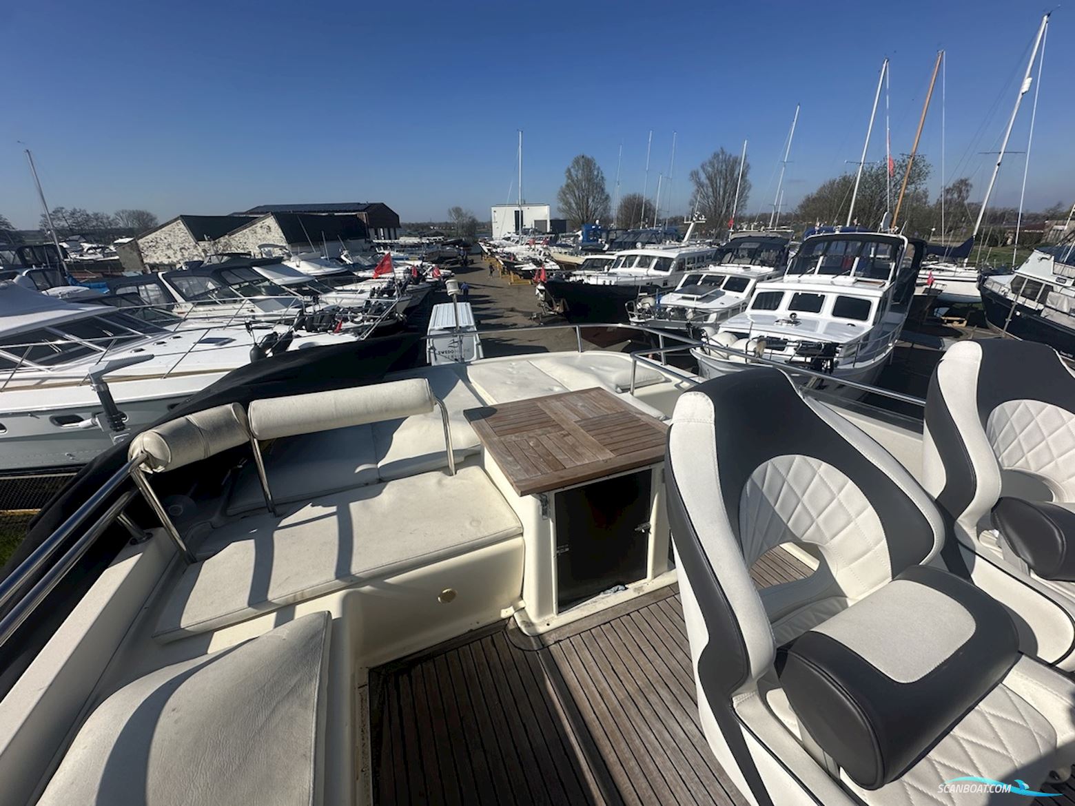 ACM Dynasty  43 Fly
