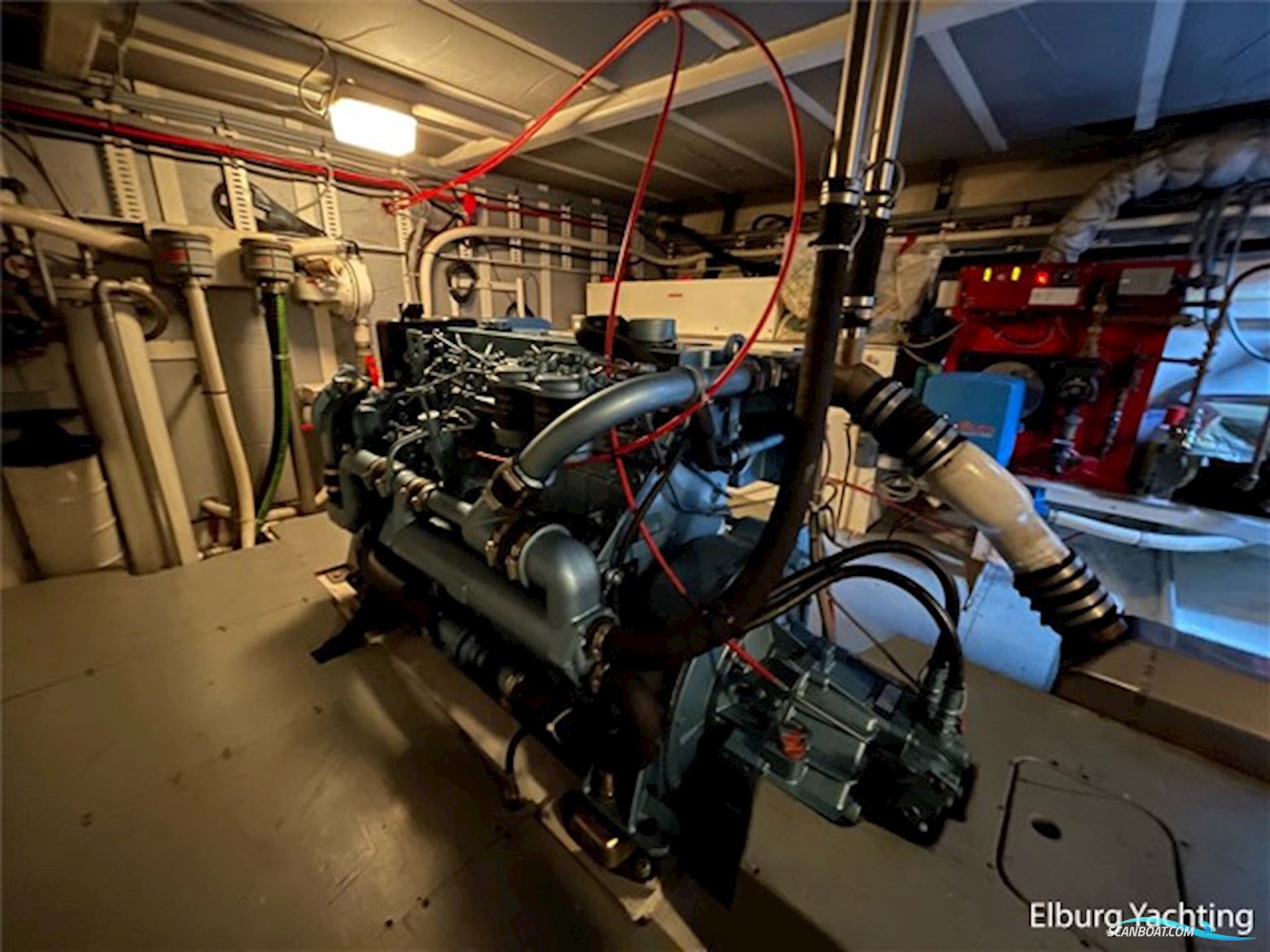 Alm Classic 14.00  - France Proof