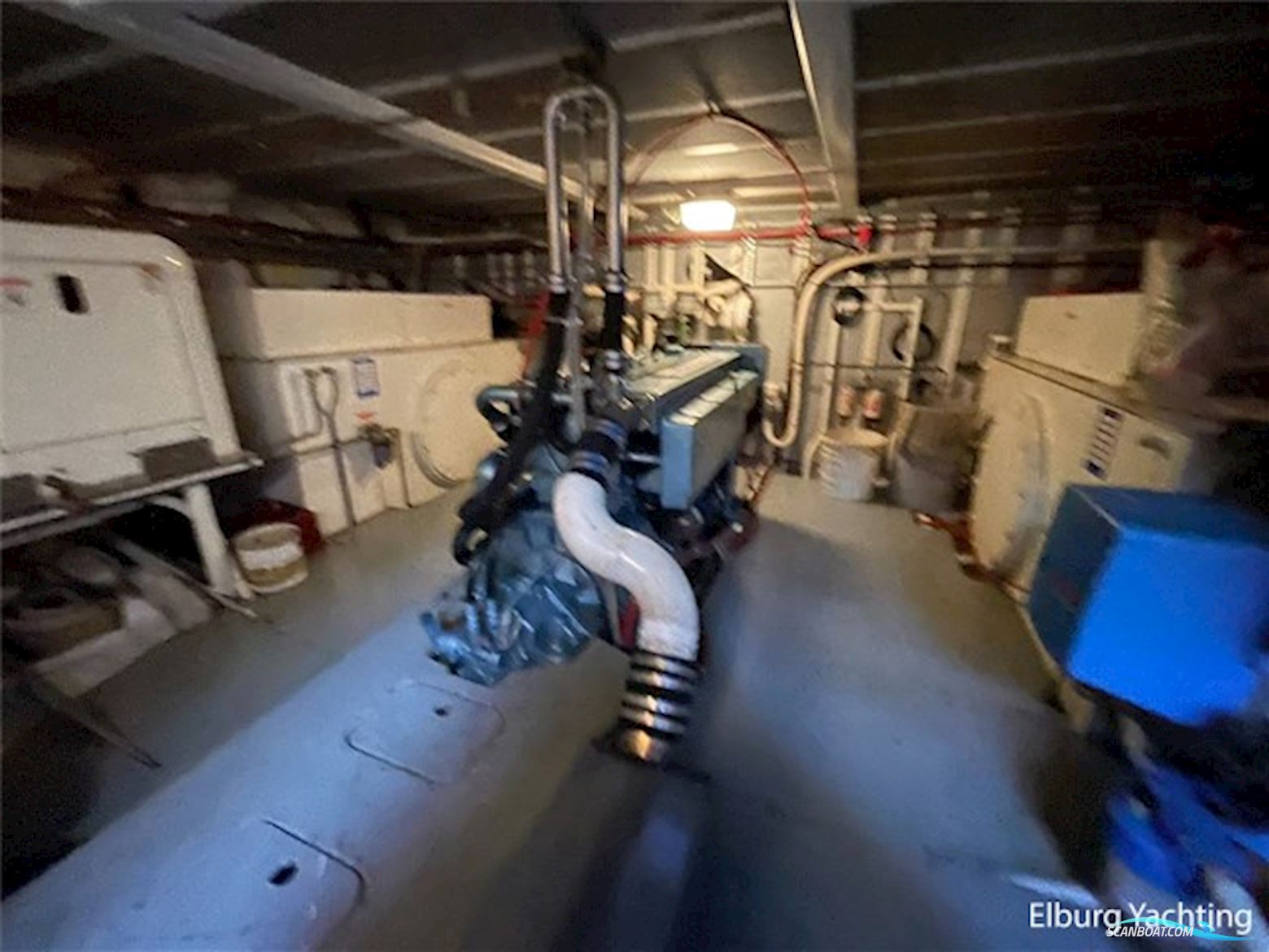 Alm Classic 14.00  - France Proof