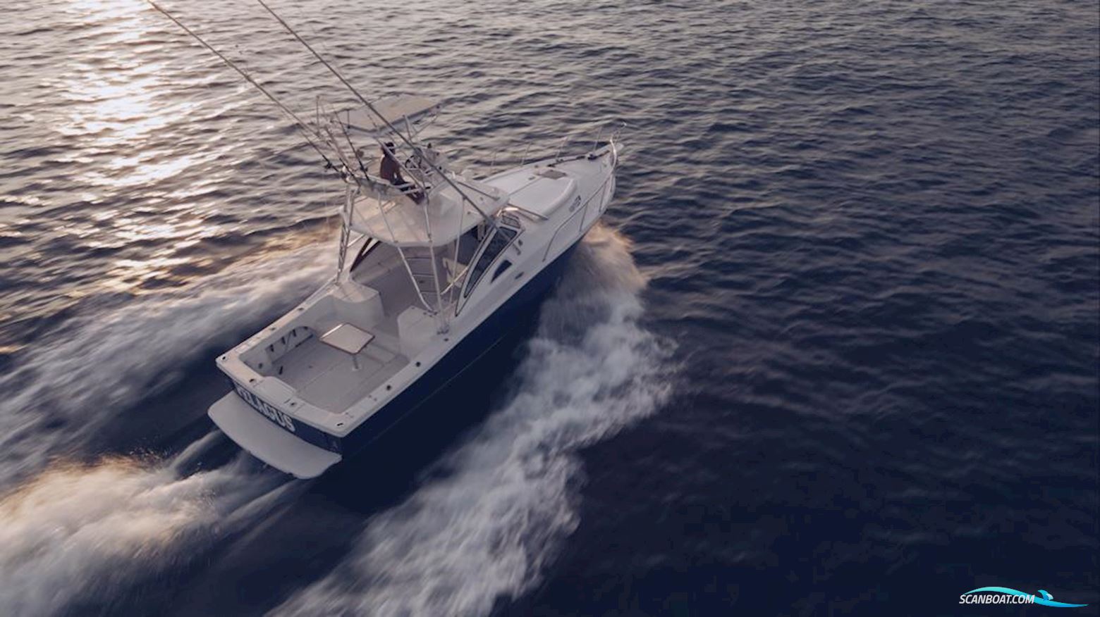 Apex Yachts Quepos 350