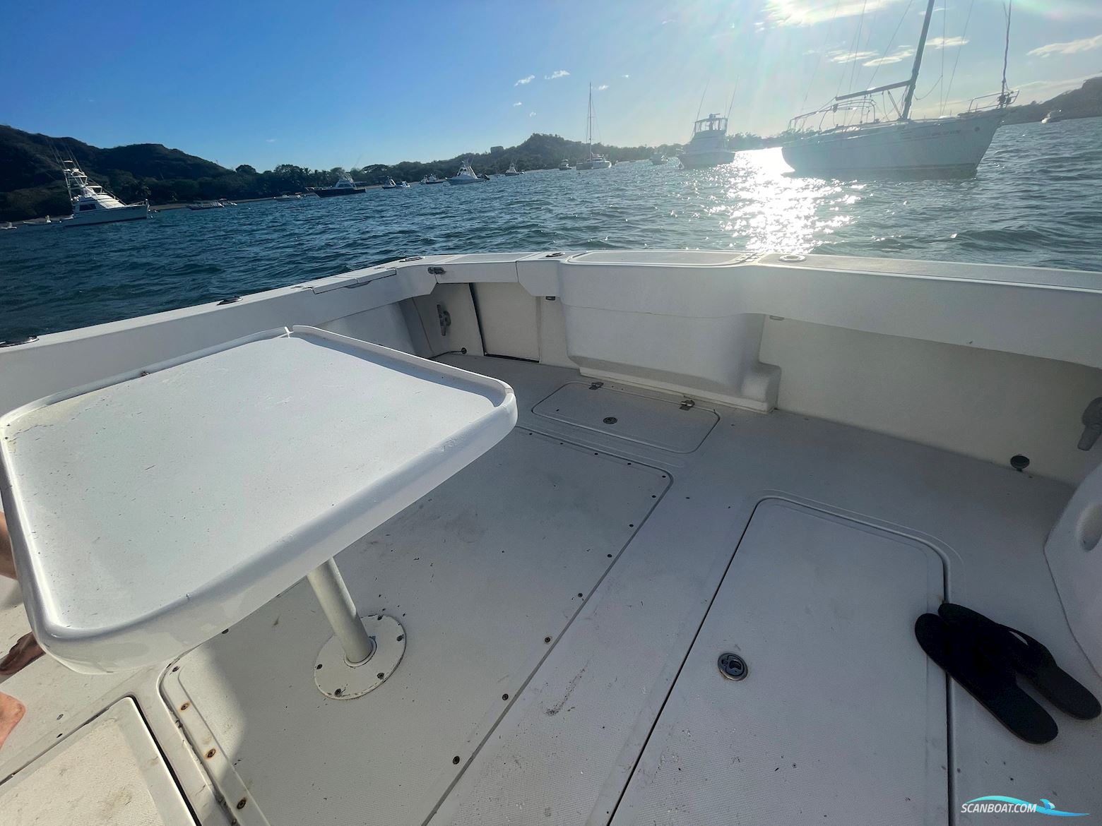 Apex Yachts Quepos 350