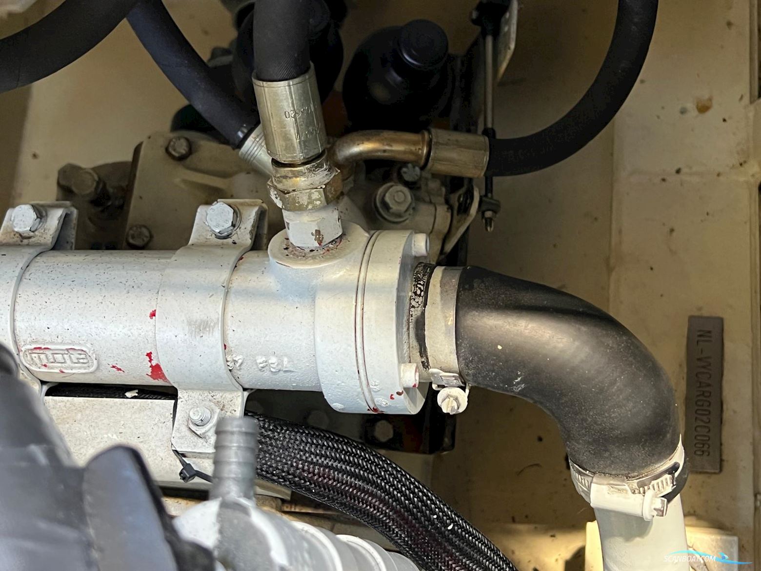 Argos Classic 11.00 AK