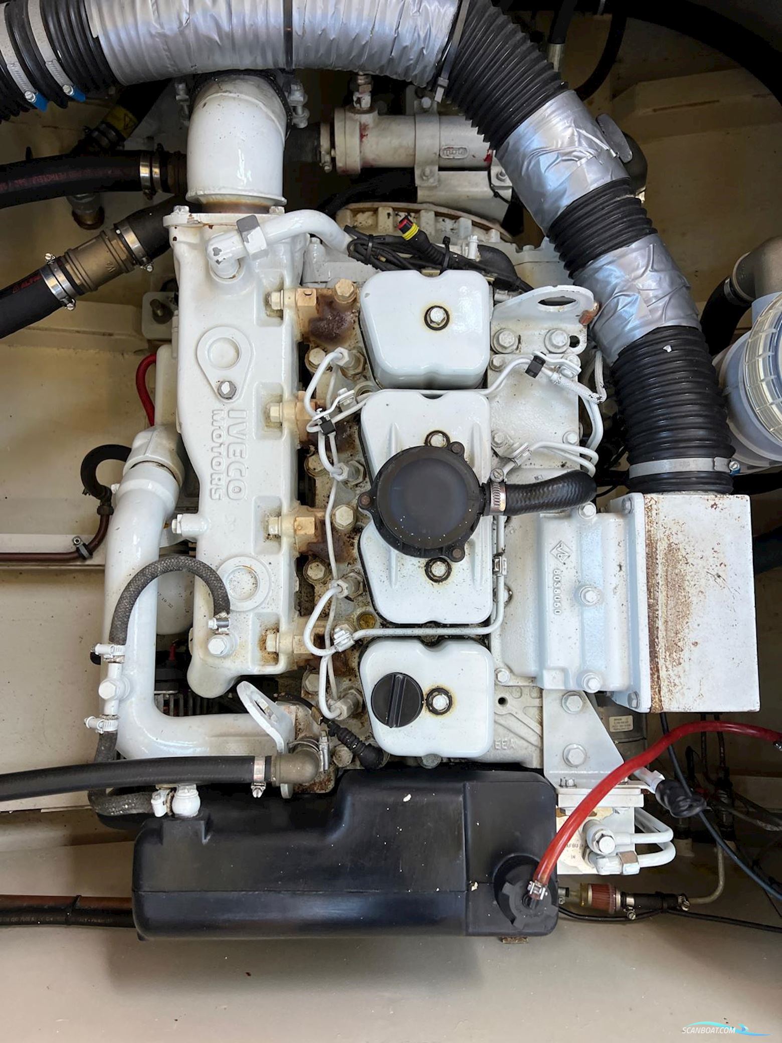 Argos Classic 11.00 AK