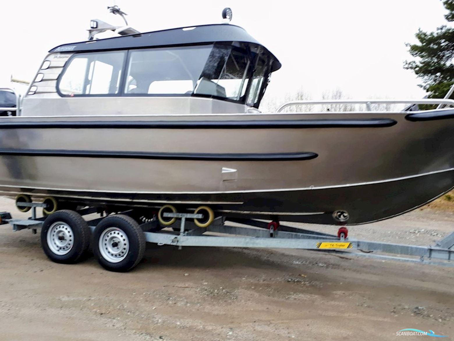 Arronet 24,5 Surprise H