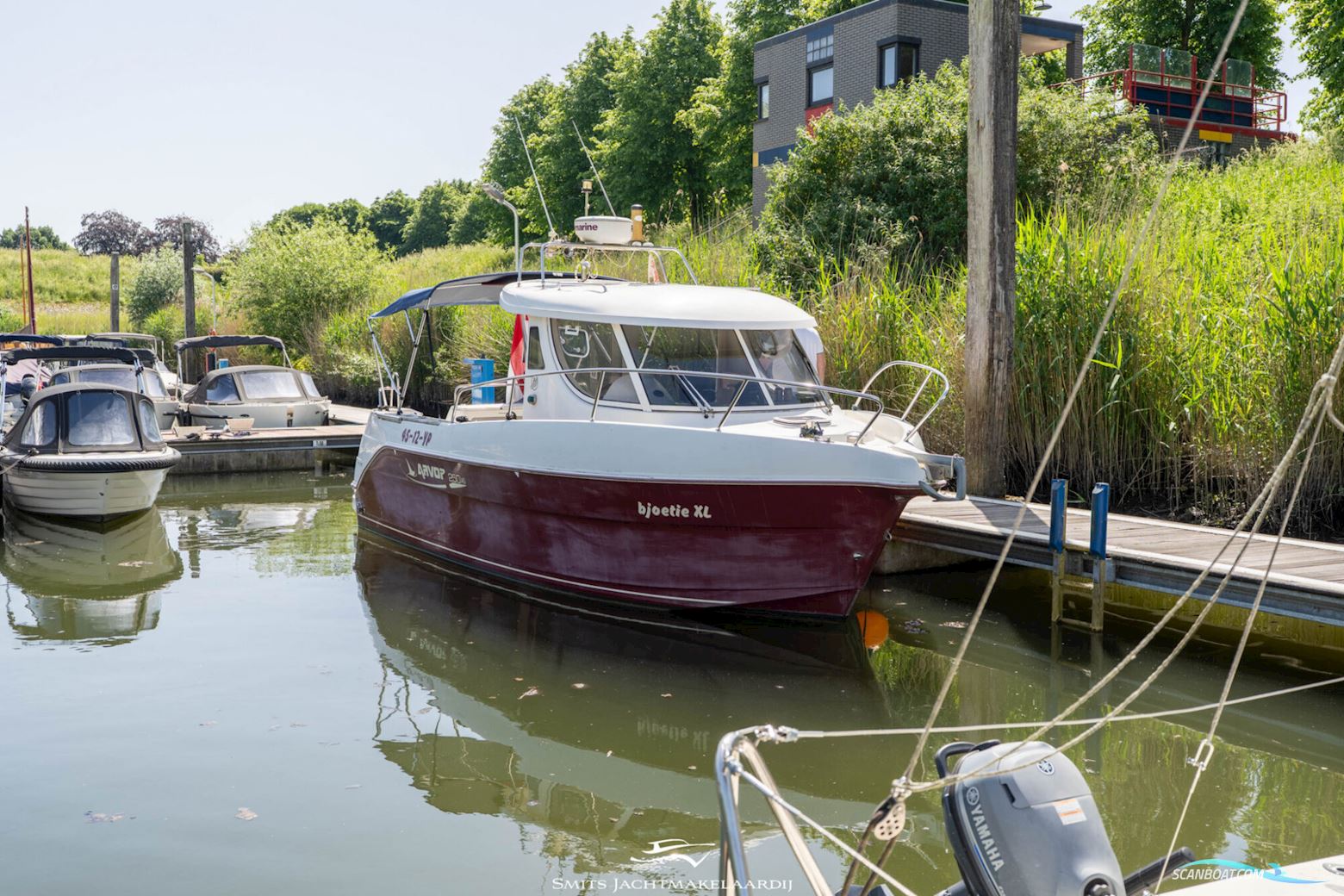 Arvor 250 AS