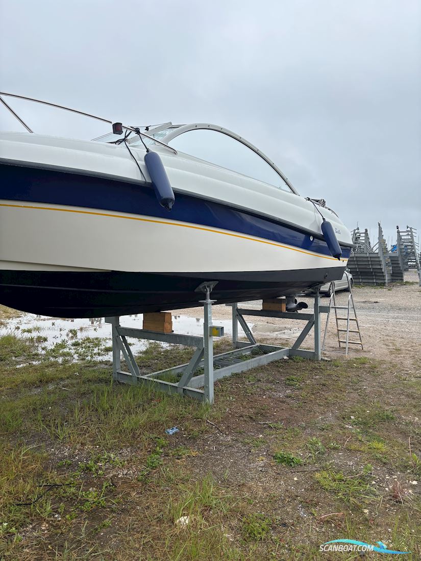 Askeladden 645 Beetle