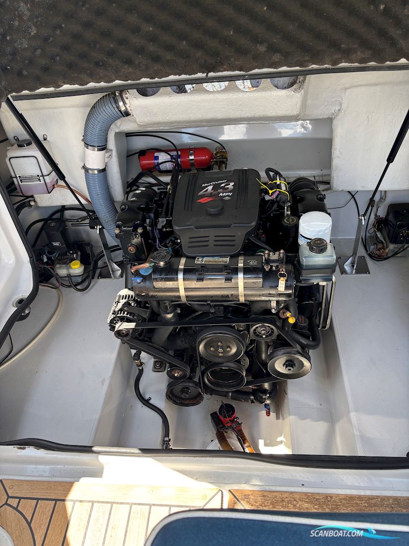 Askeladden 645 Beetle