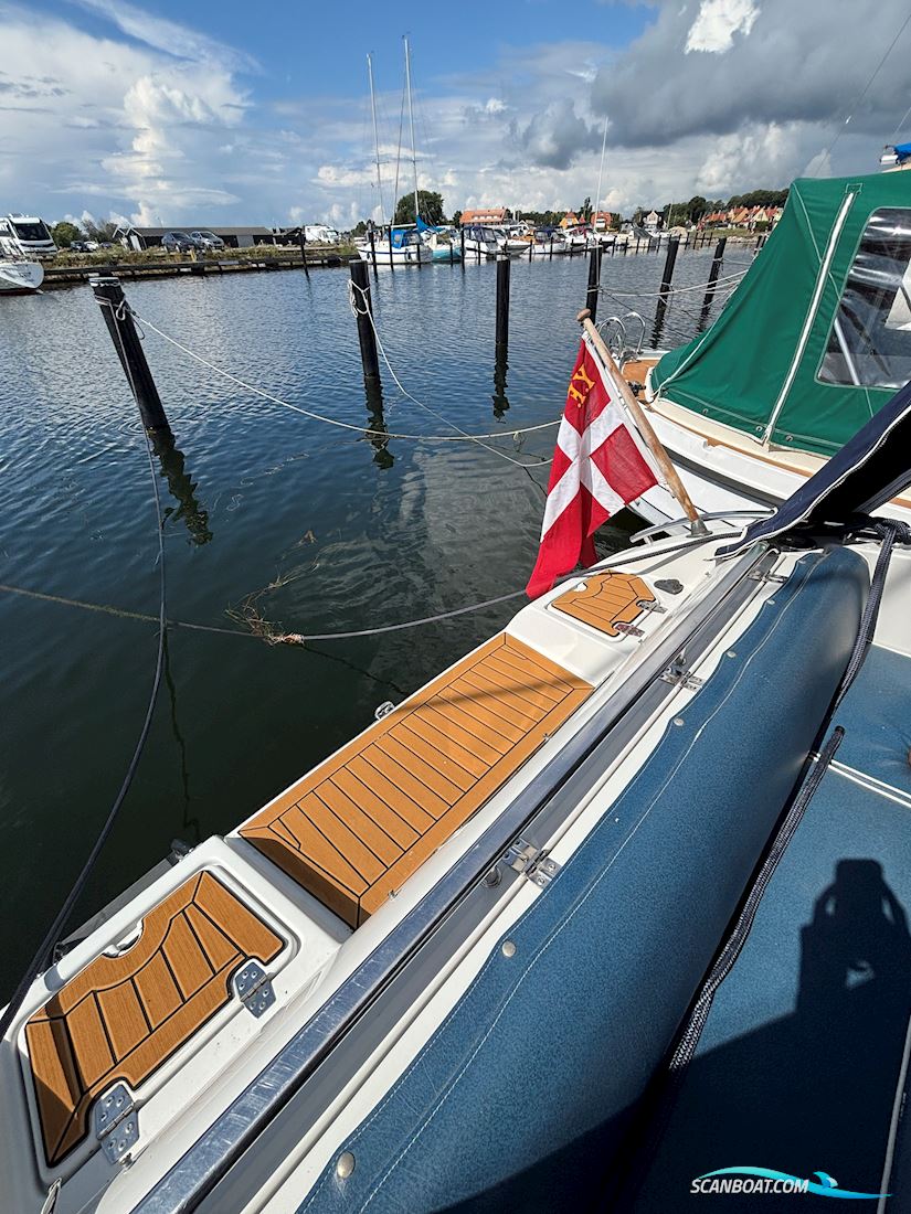 Askeladden 645 Beetle