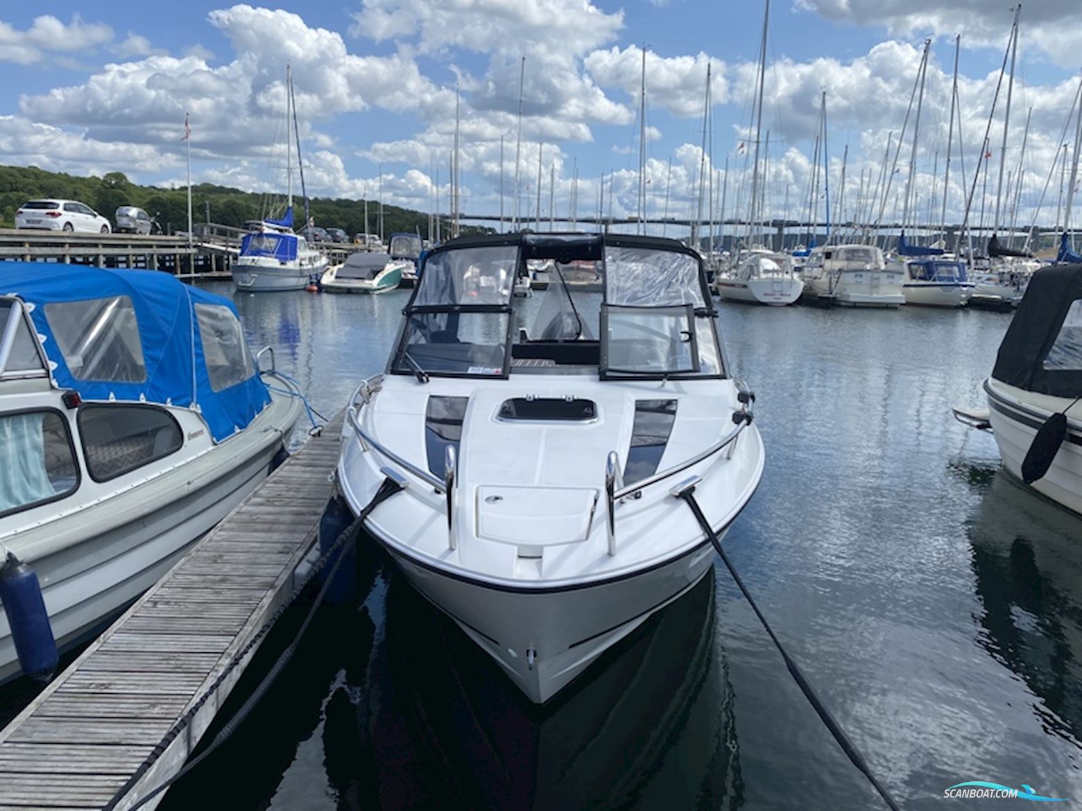 Askeladden C65 Cruiser