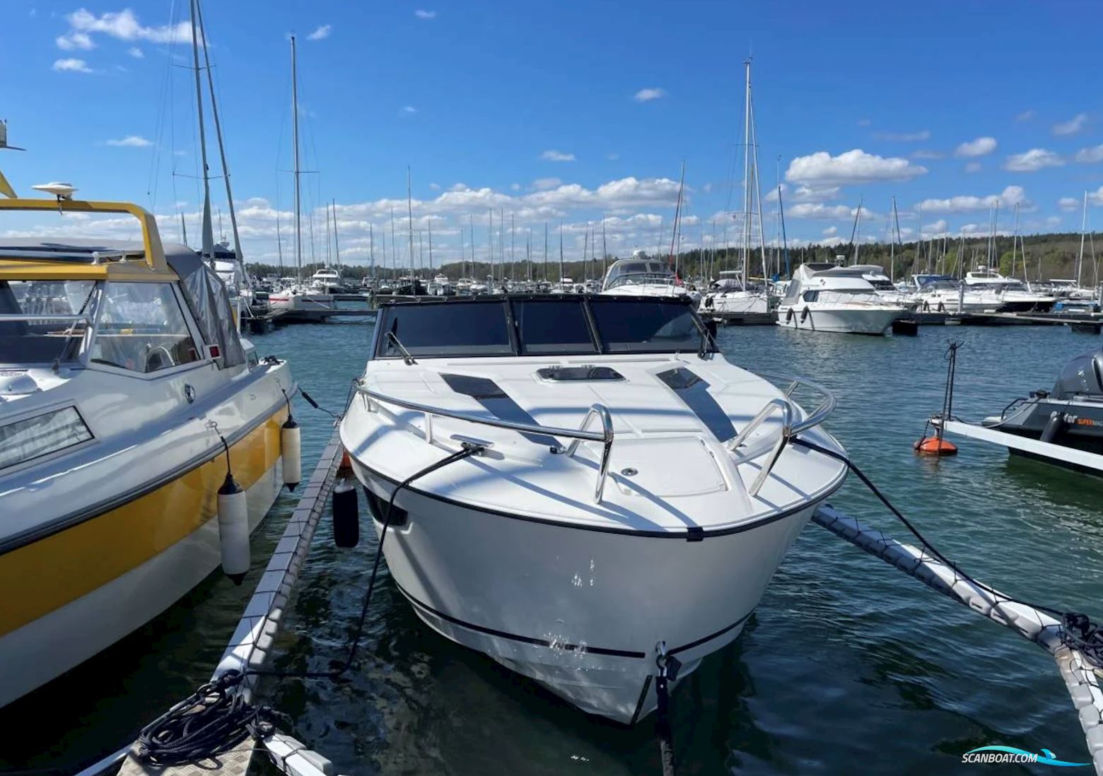 Askeladden C83 Cruiser