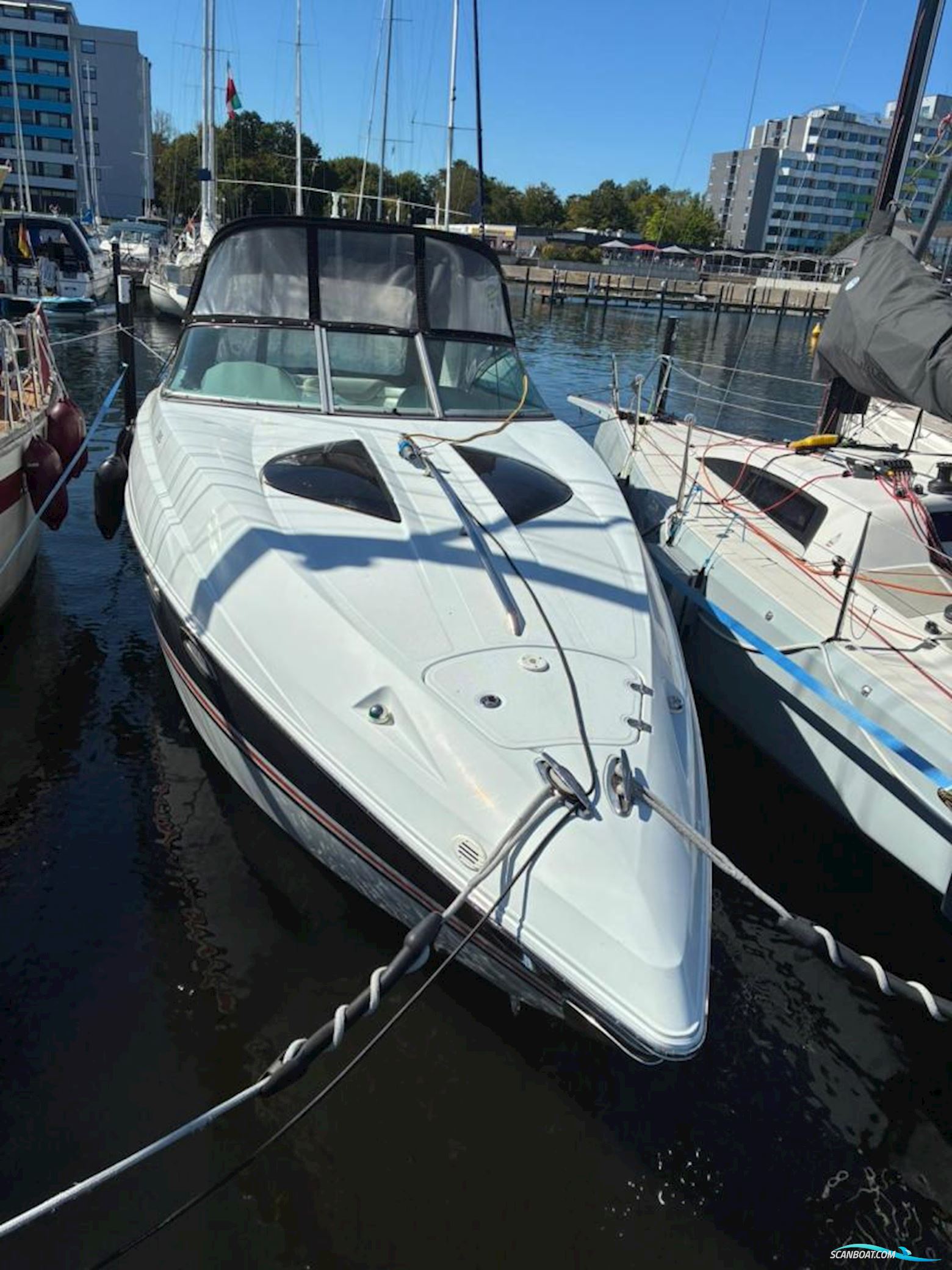 Baja Performance 335