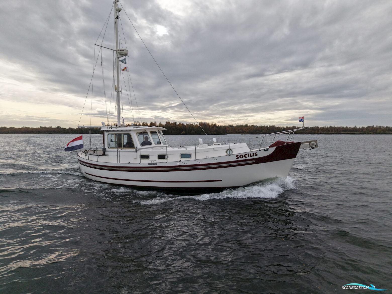 Banjer Kotter 11.50 OK