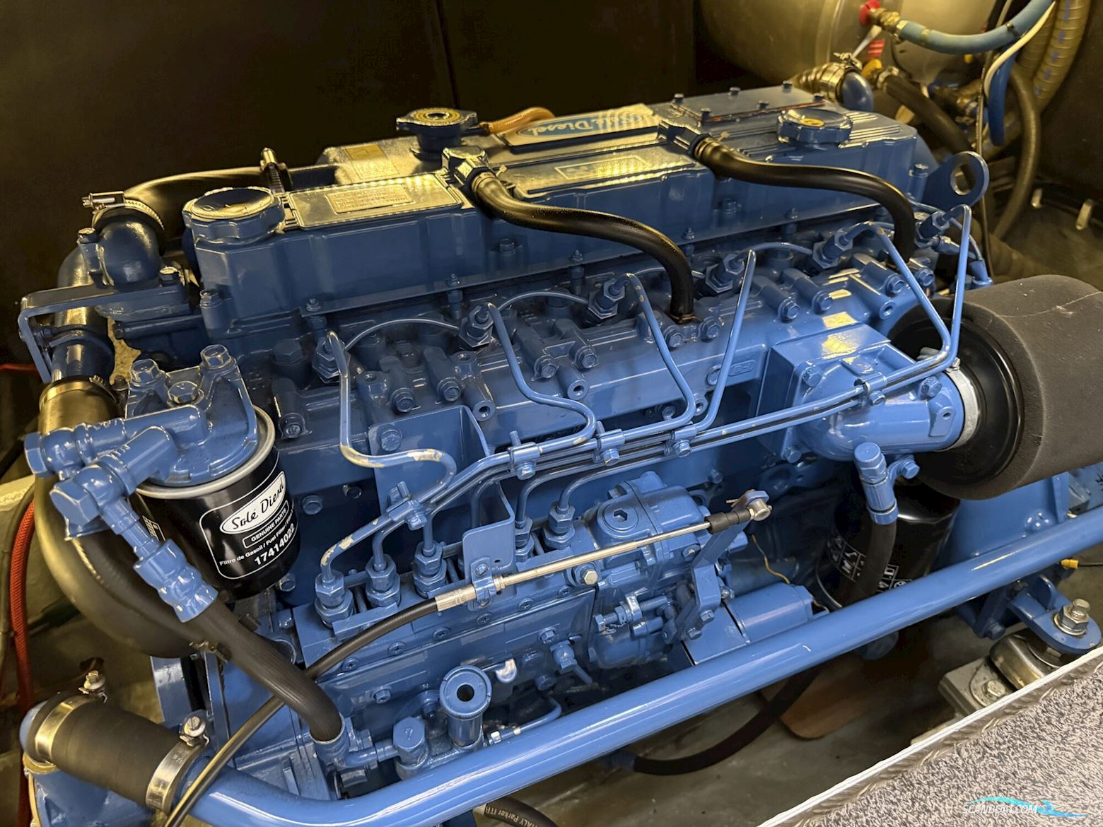 Banjer Kotter 11.50 OK