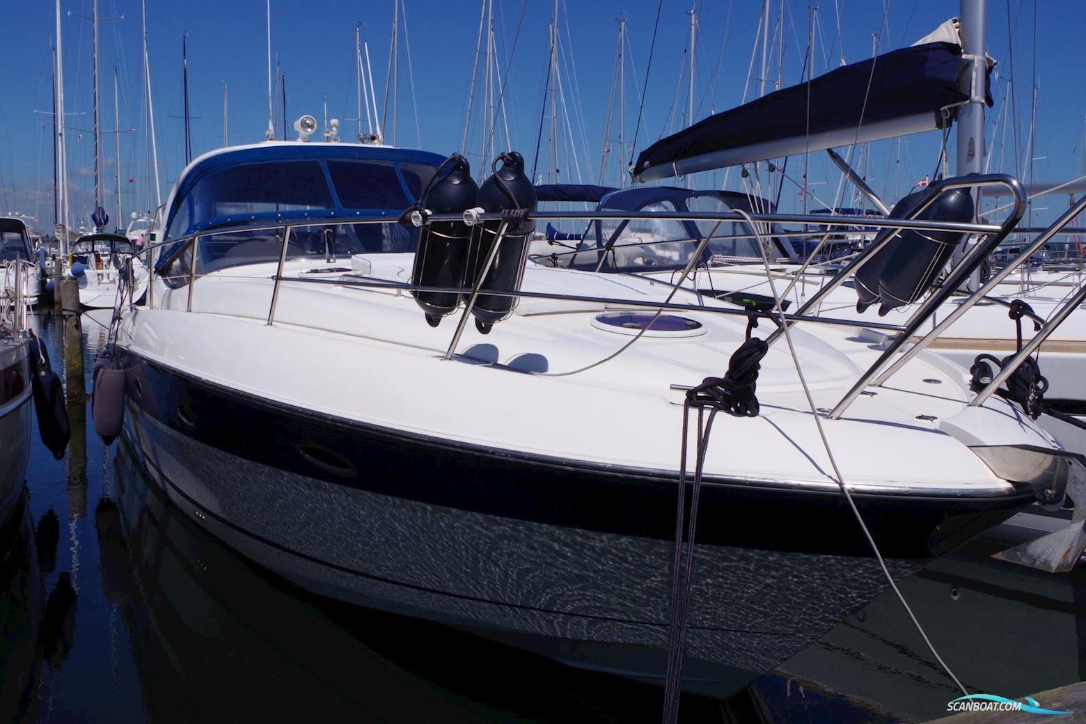 Bavaria Bavaria 37 Sport