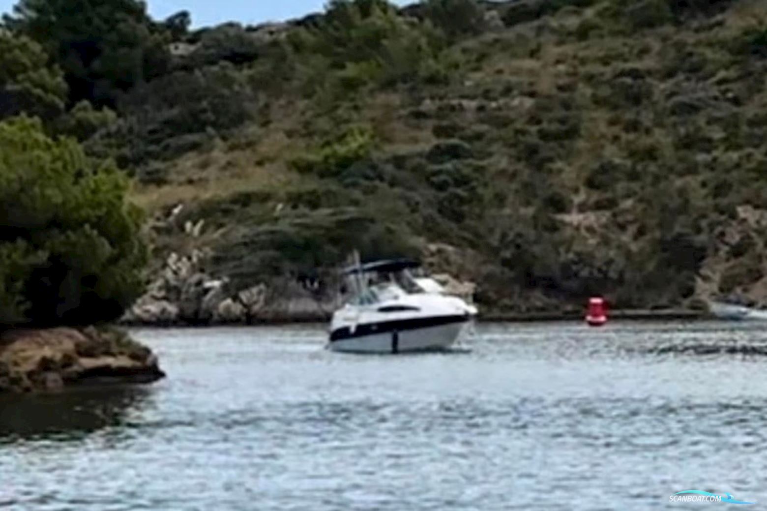 Bayliner  245