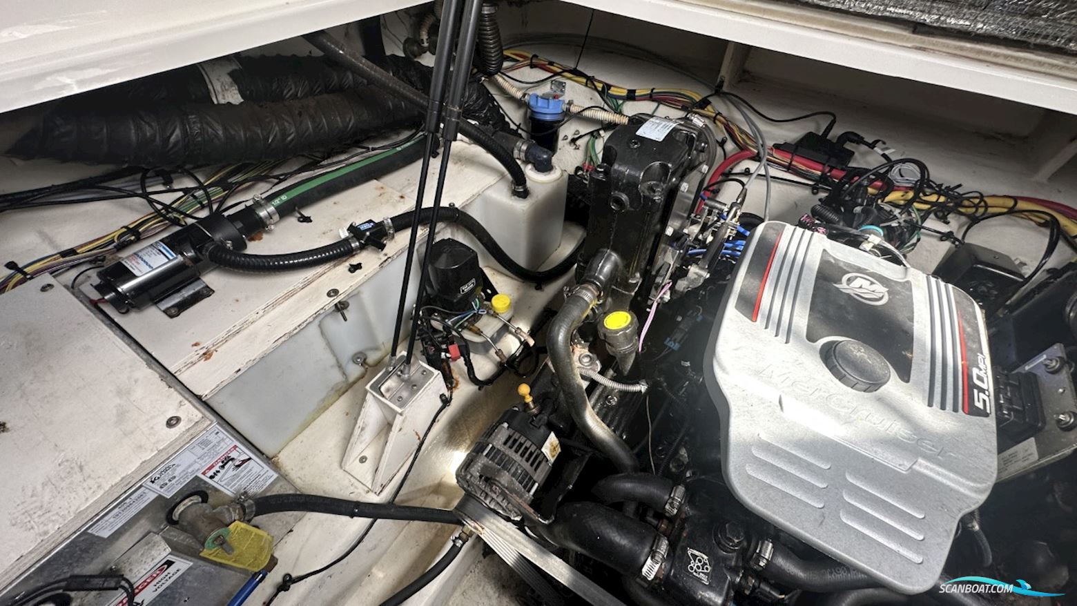 Bayliner  255