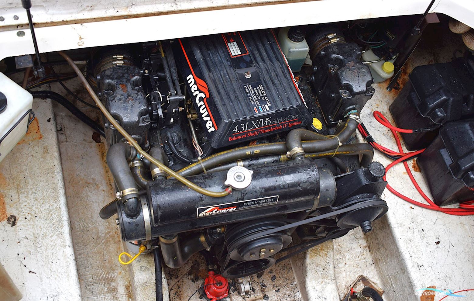 Bayliner 2355 Ciera – Netop ankommet