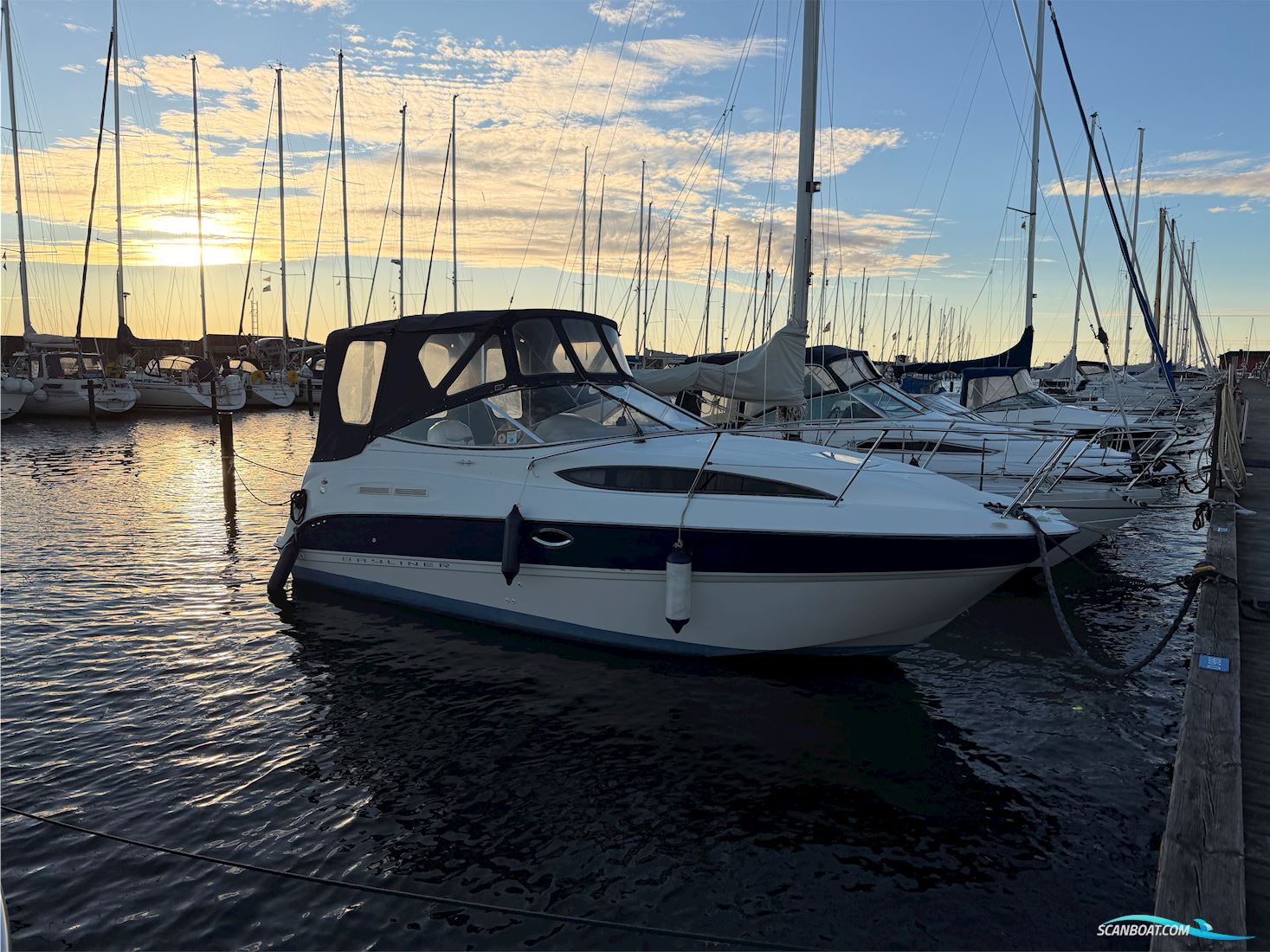 Bayliner 245 Ciera