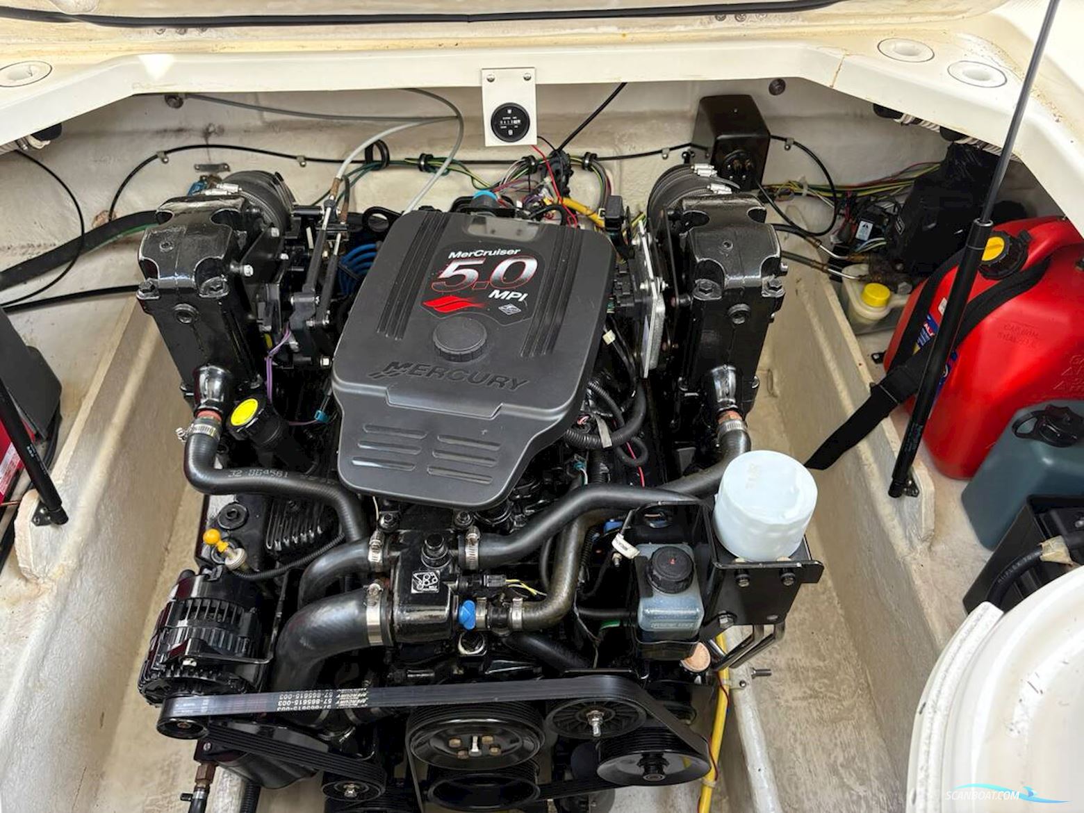 Bayliner 246 Discovery